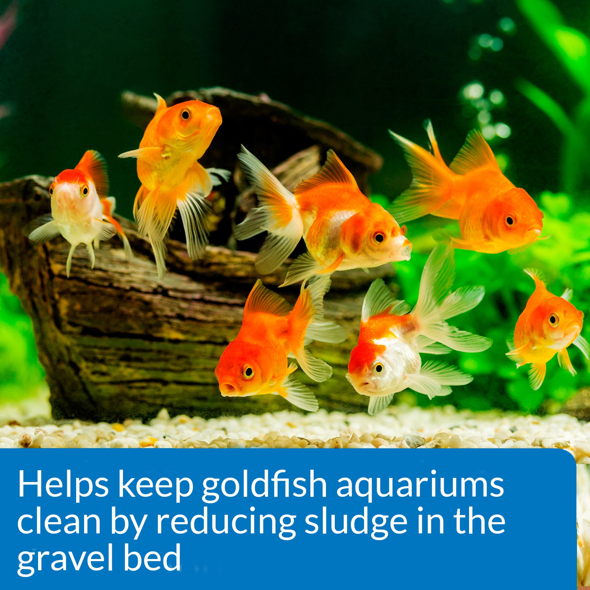 API®  GOLDFISH AQUARIUM CLEANER