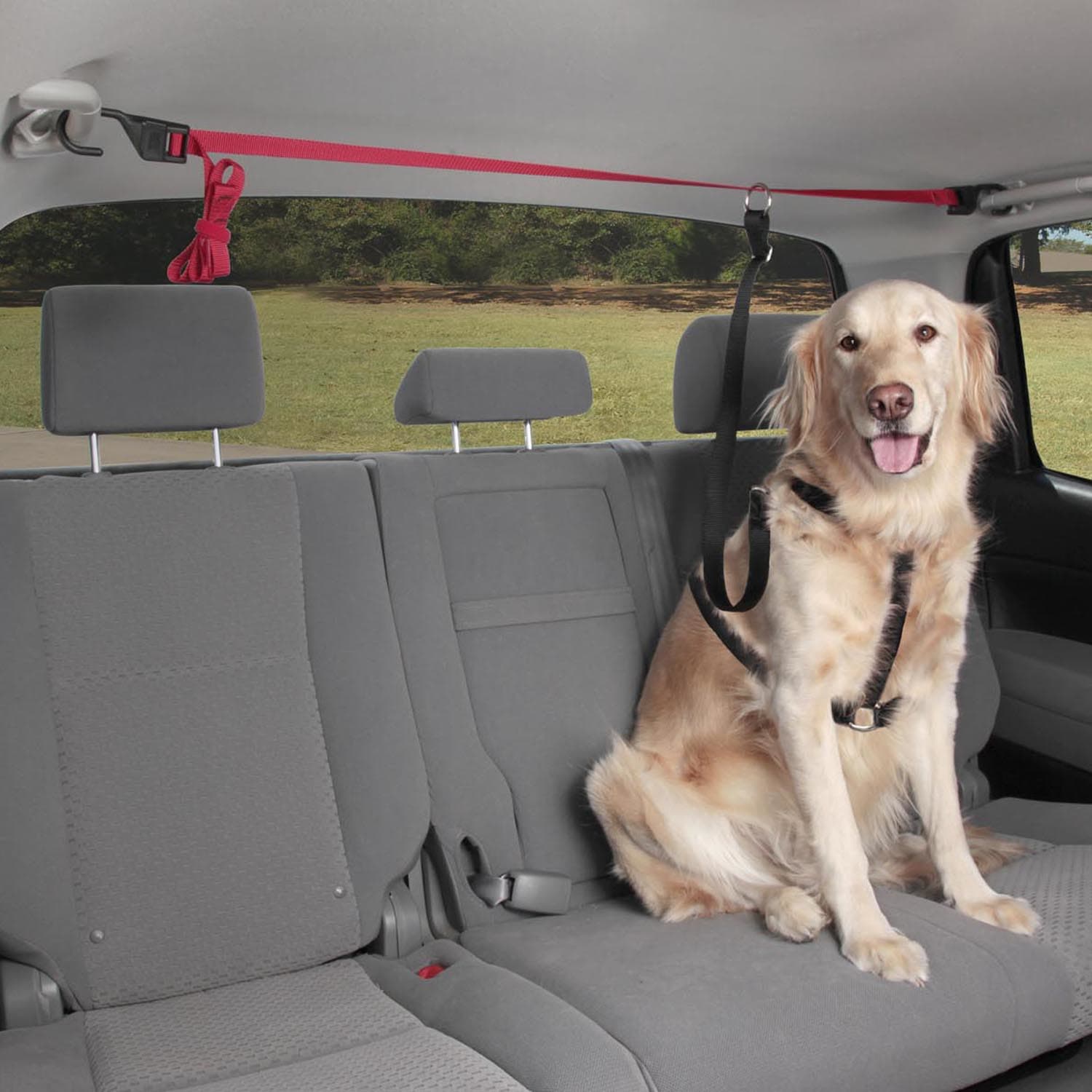 dog safety belt