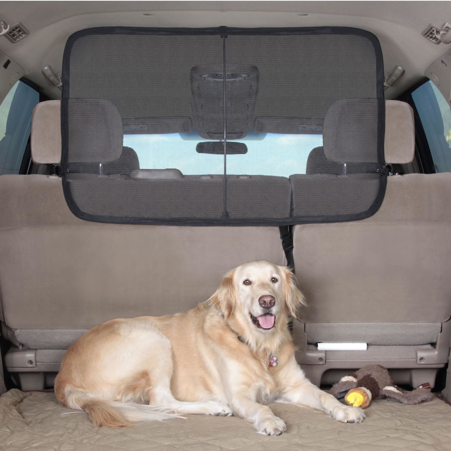 cargo divider for dogs