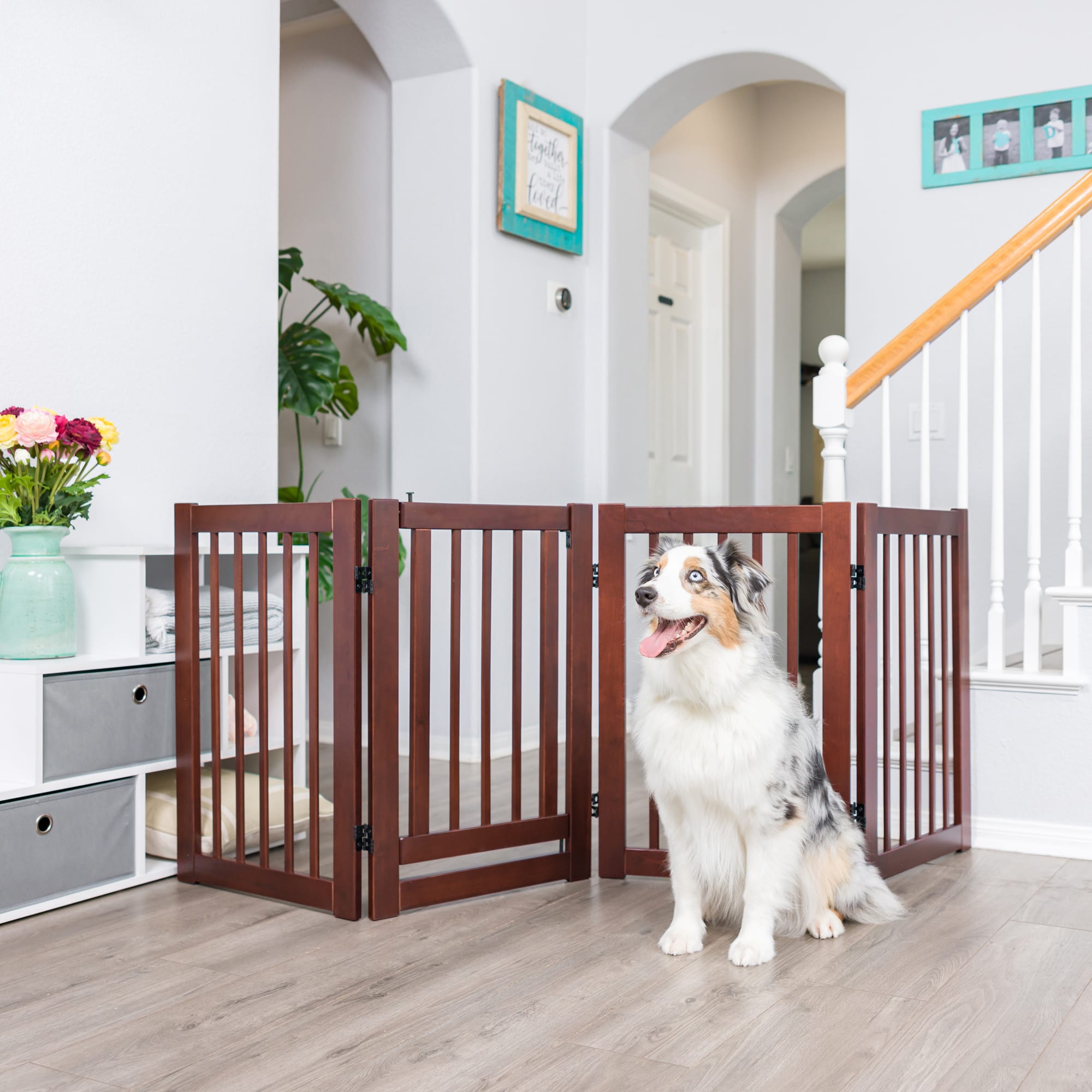 Petco best sale cat gate