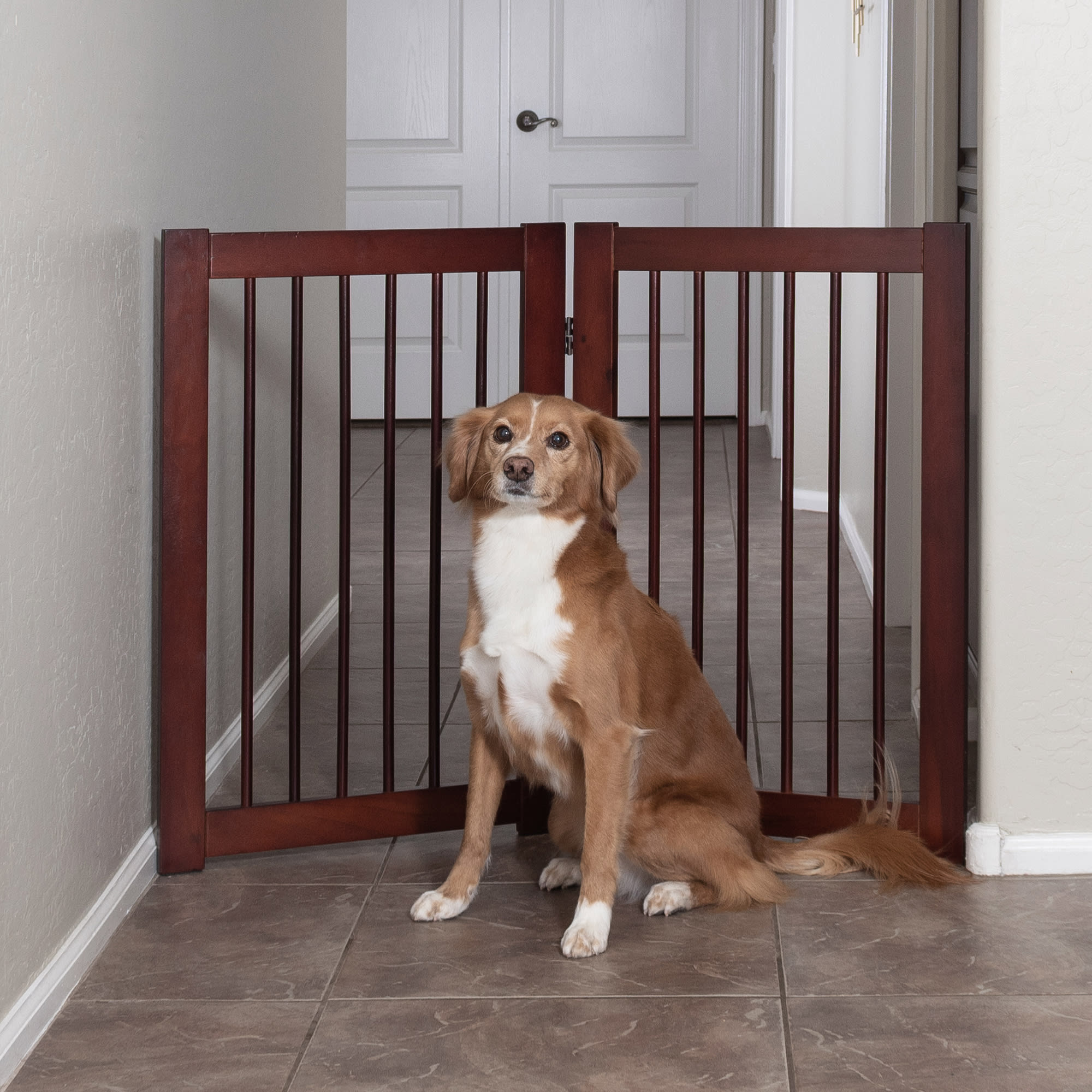 Primetime Petz 360 Configurable Pet Gate Extension Kit, 30" H Petco