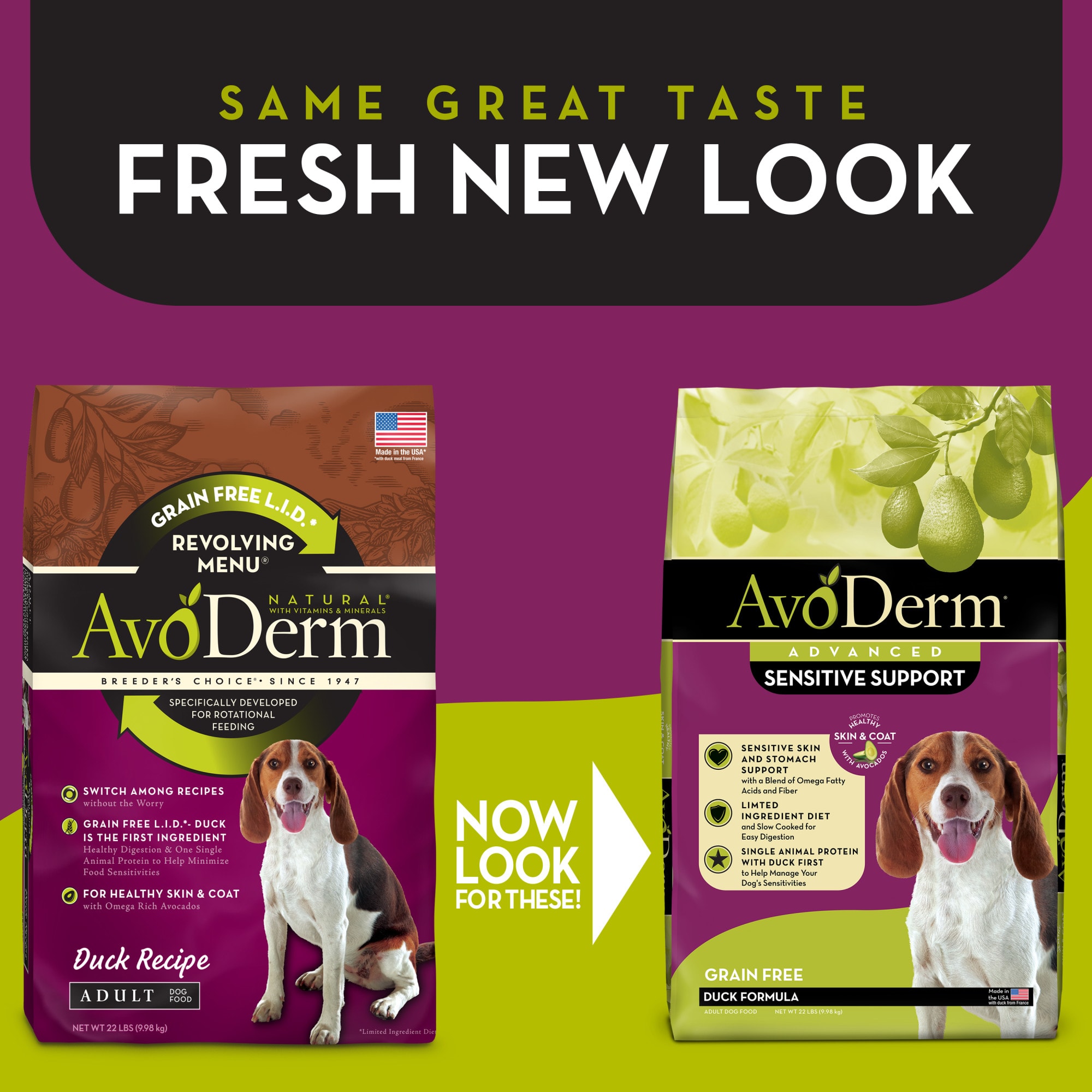 Avoderm puppy shop food reviews