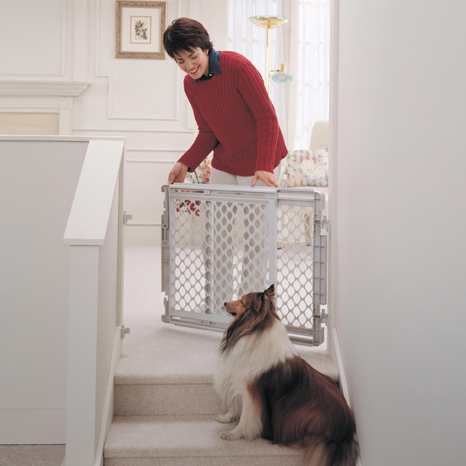 north states stairway pet gate