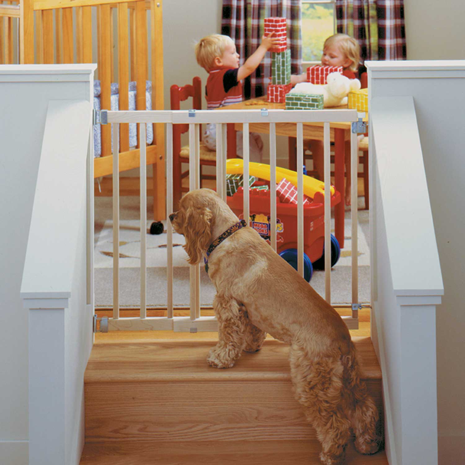 swing dog gate for stairs