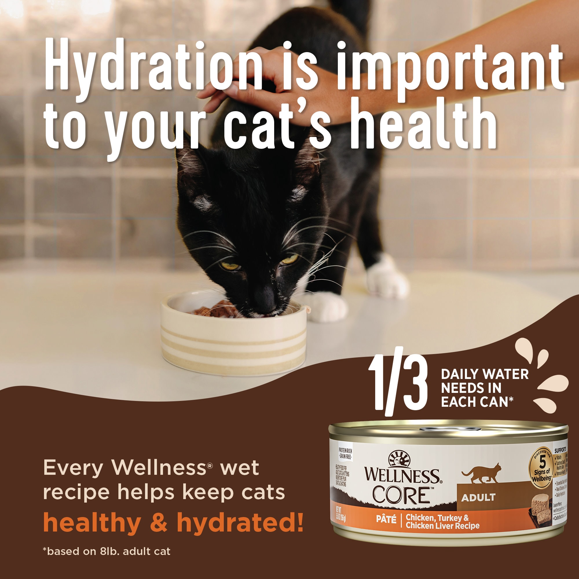 Wellness core natural grain free turkey store & chicken liver pate canned kitten food