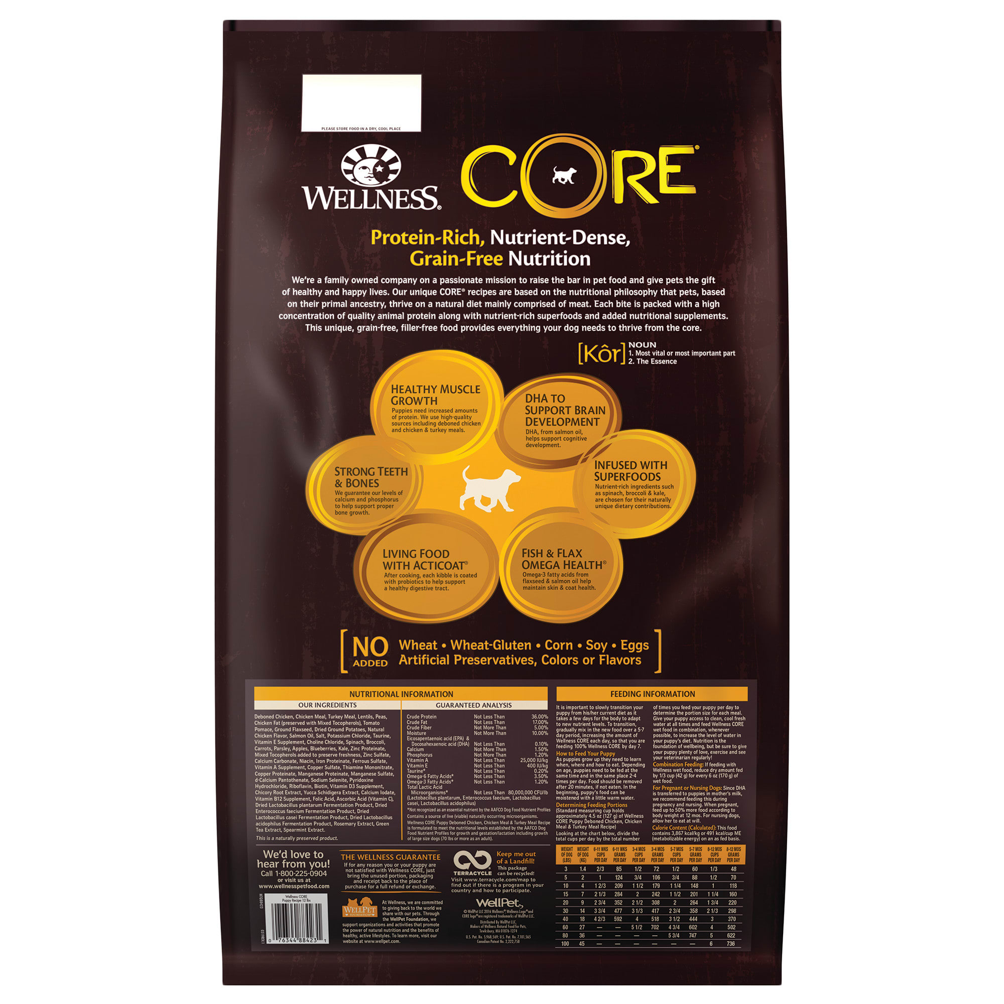 Wellness core 2025 puppy feeding guide