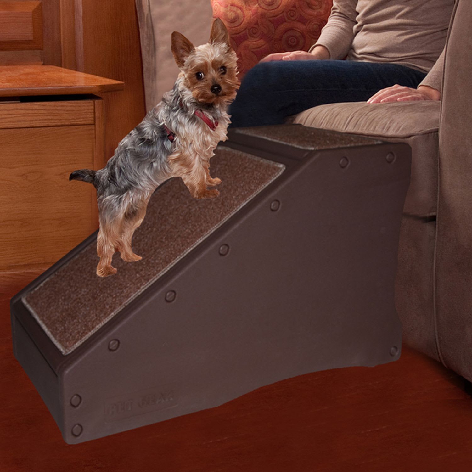 Pet gear step & ramp clearance combination