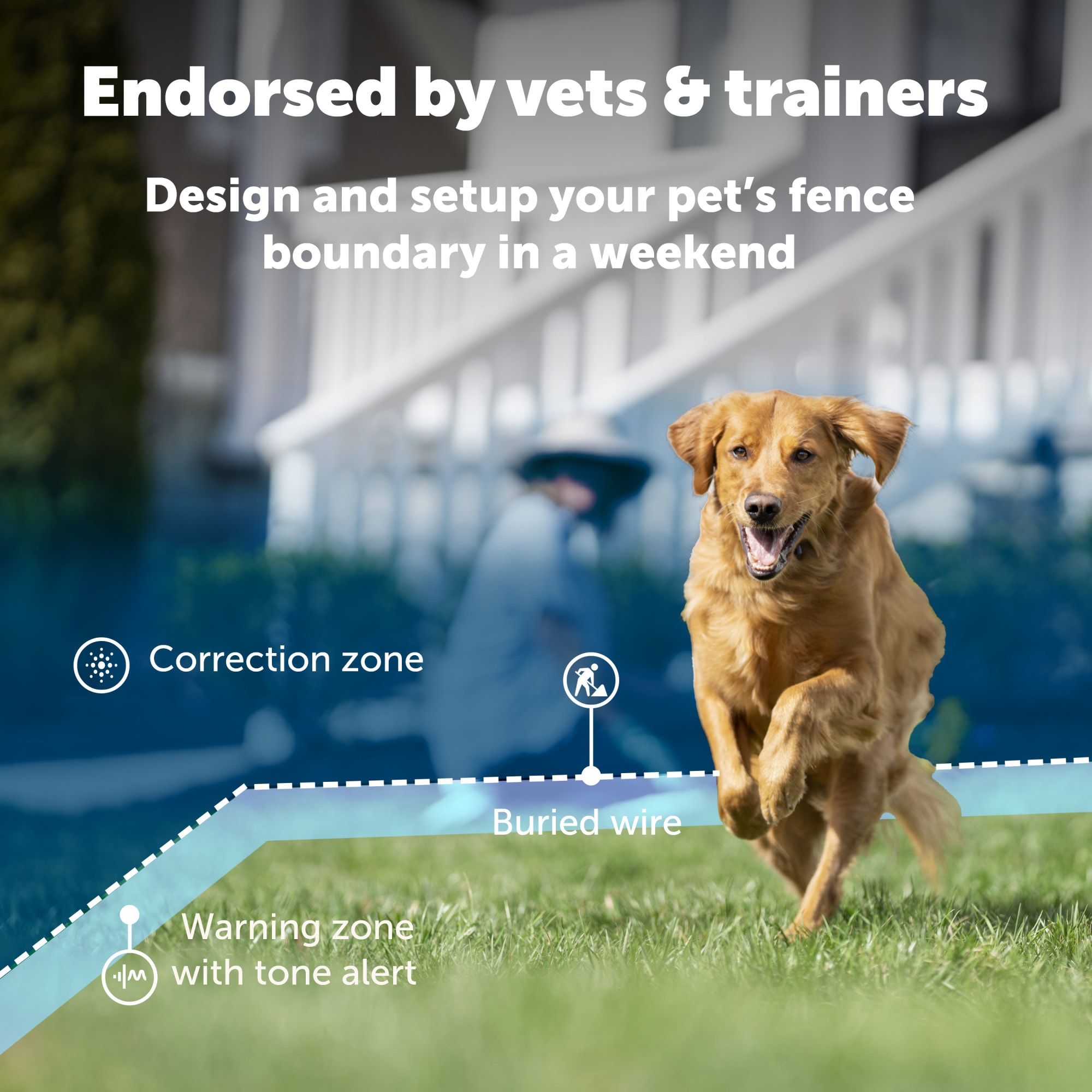 PetSafe In Ground Fence