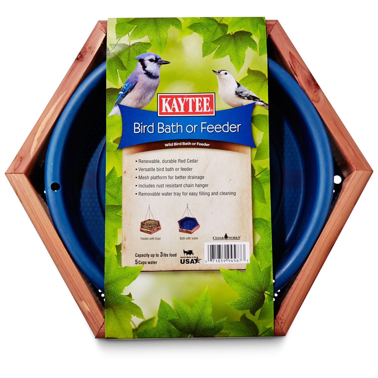 kitty eating ice cream