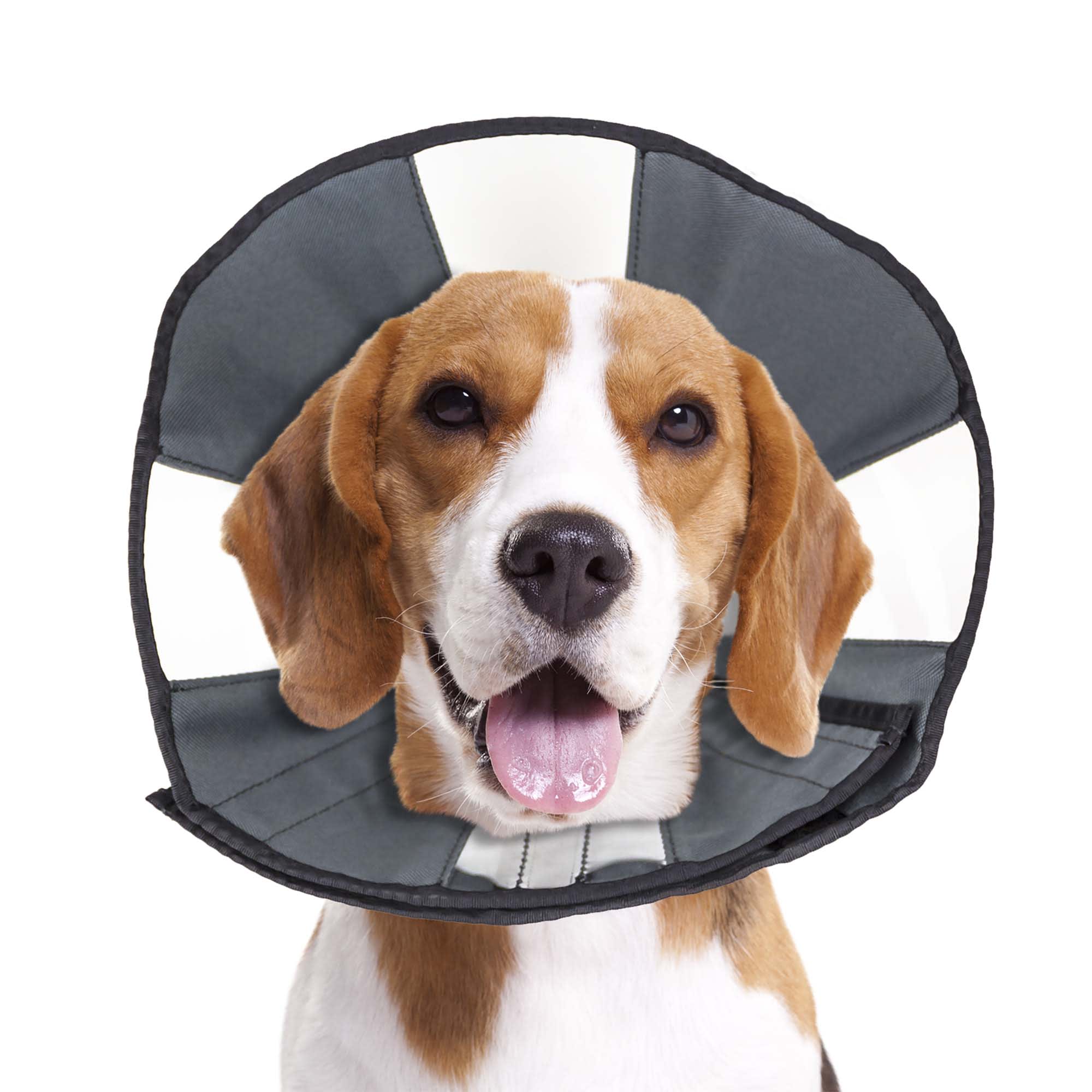 Zen Pet ZenCone Soft Recovery Collar for Dogs, Medium
