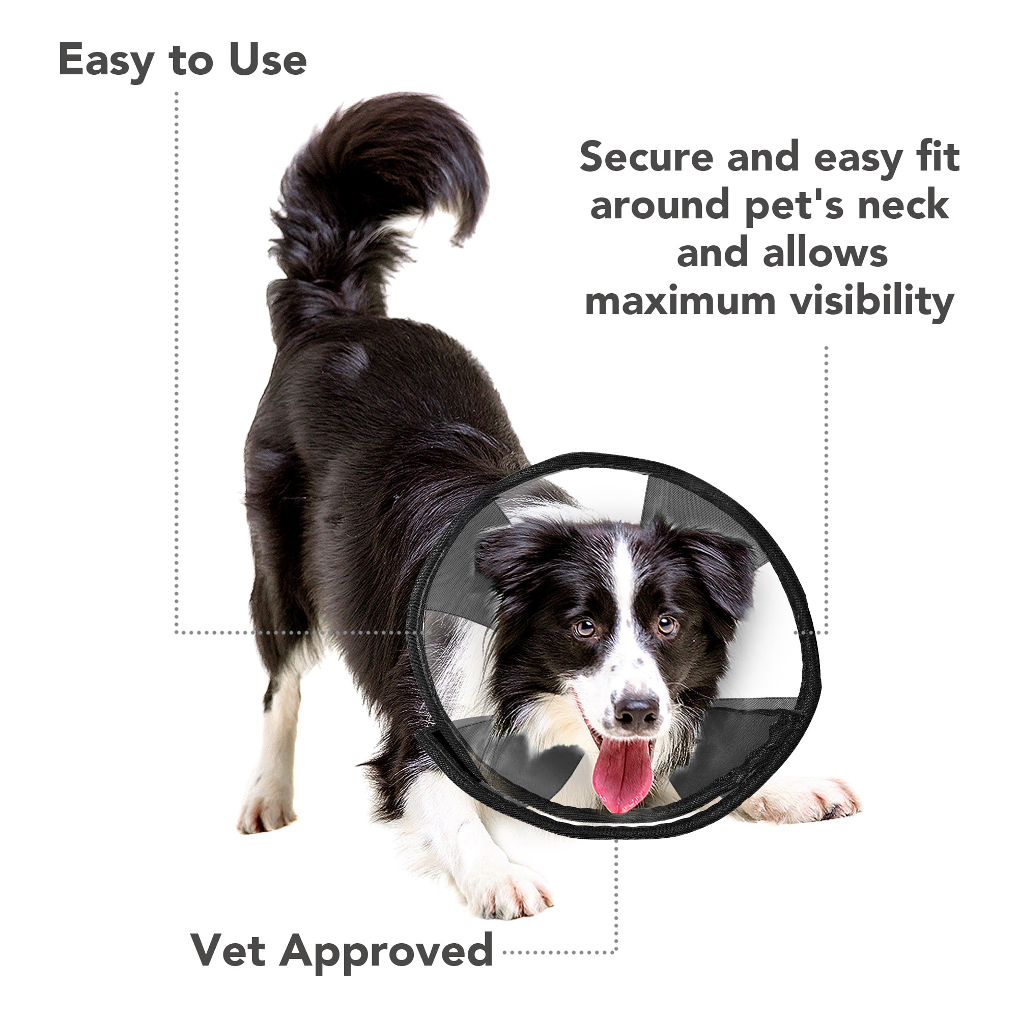 Zencone Soft Recovery Collar Large 