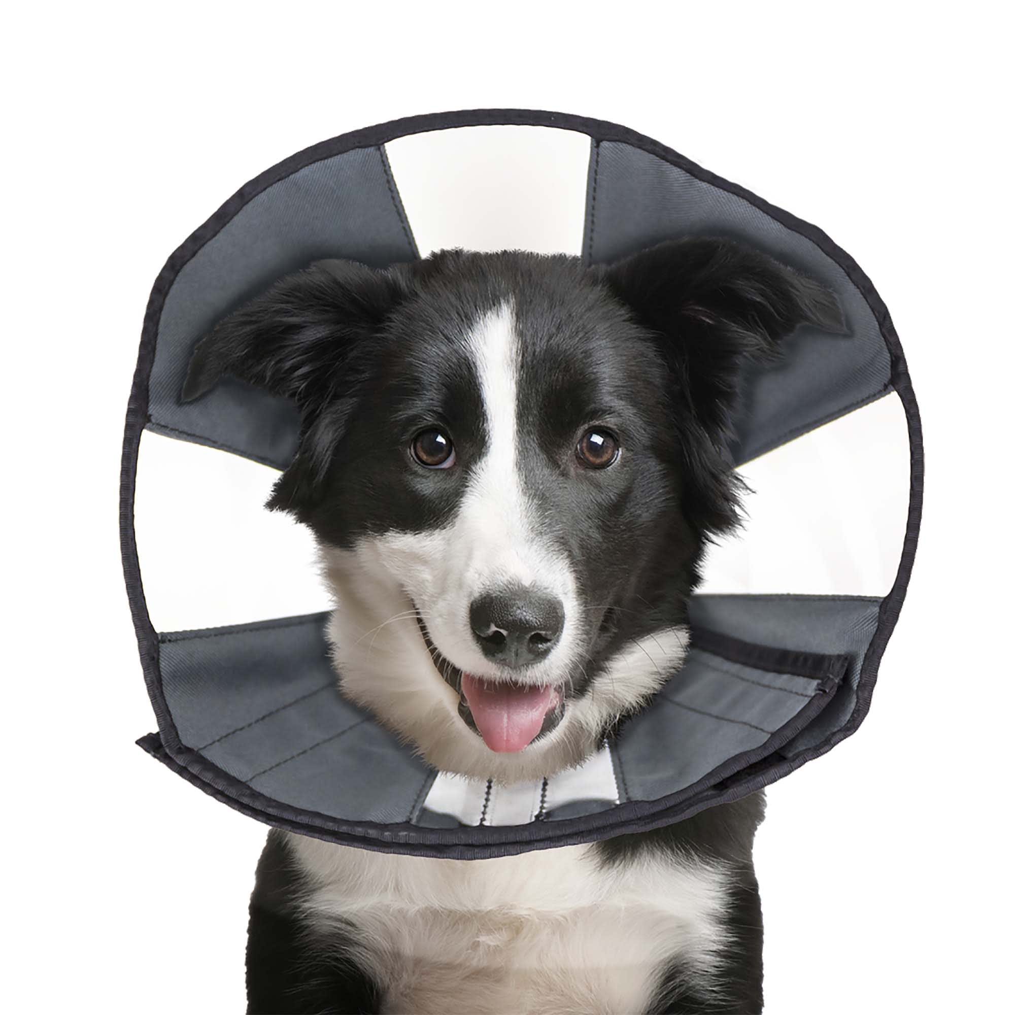 Dog Recovery Cones Surgical Suits Petco