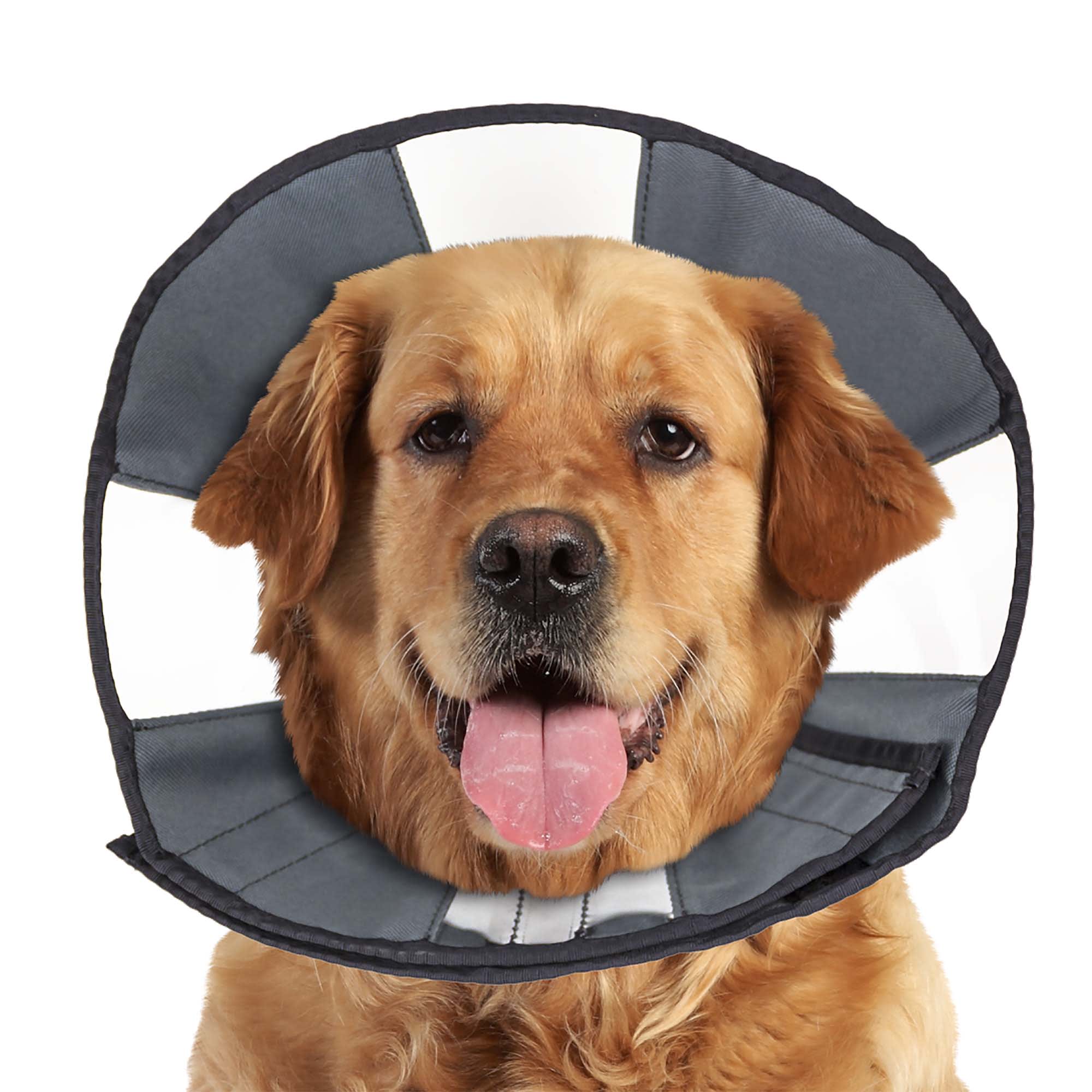 Comfy Cone Soft Pet Recovery Collar – Deaf Dogs Rock