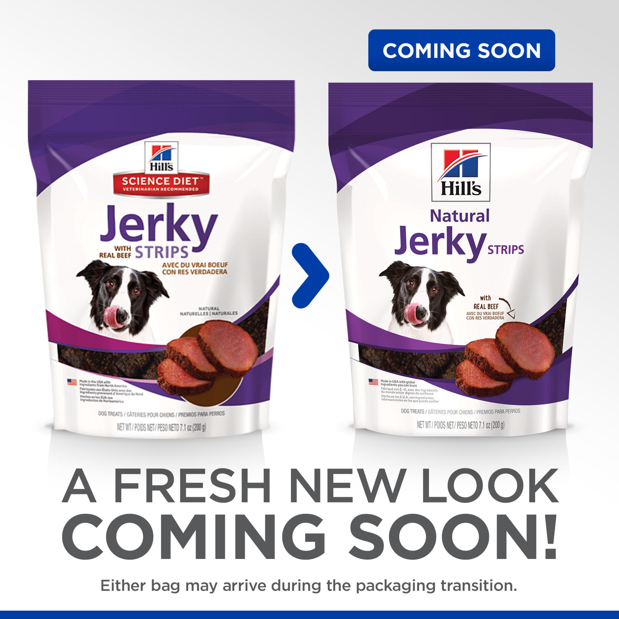 Hill's science diet sale jerky dog treats