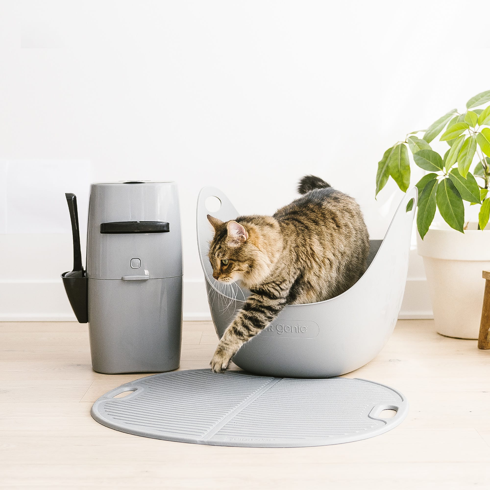 Litter Genie Plus Cat Litter Disposal System in Silver 8