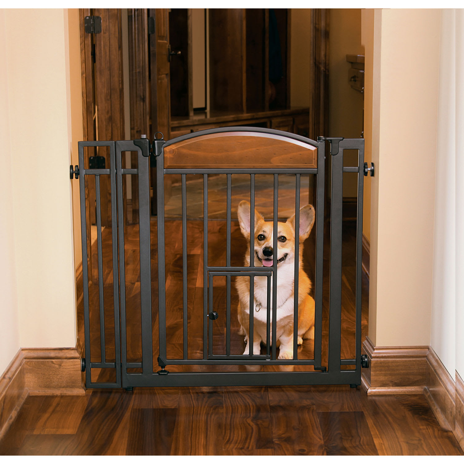 Walk thru pet shop gate with cat door