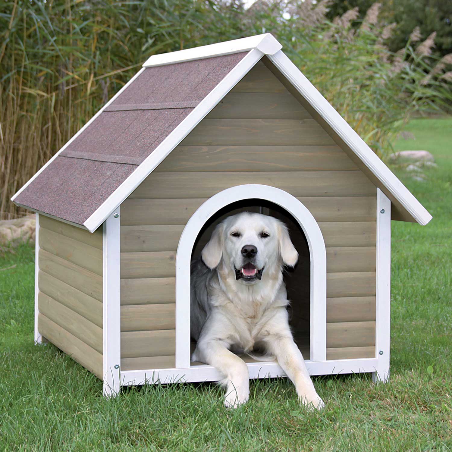 pet house near me for dogs