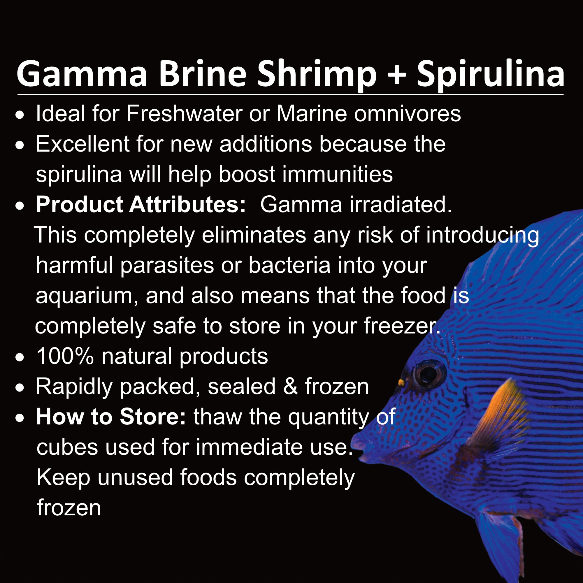 Petco brine shrimp best sale