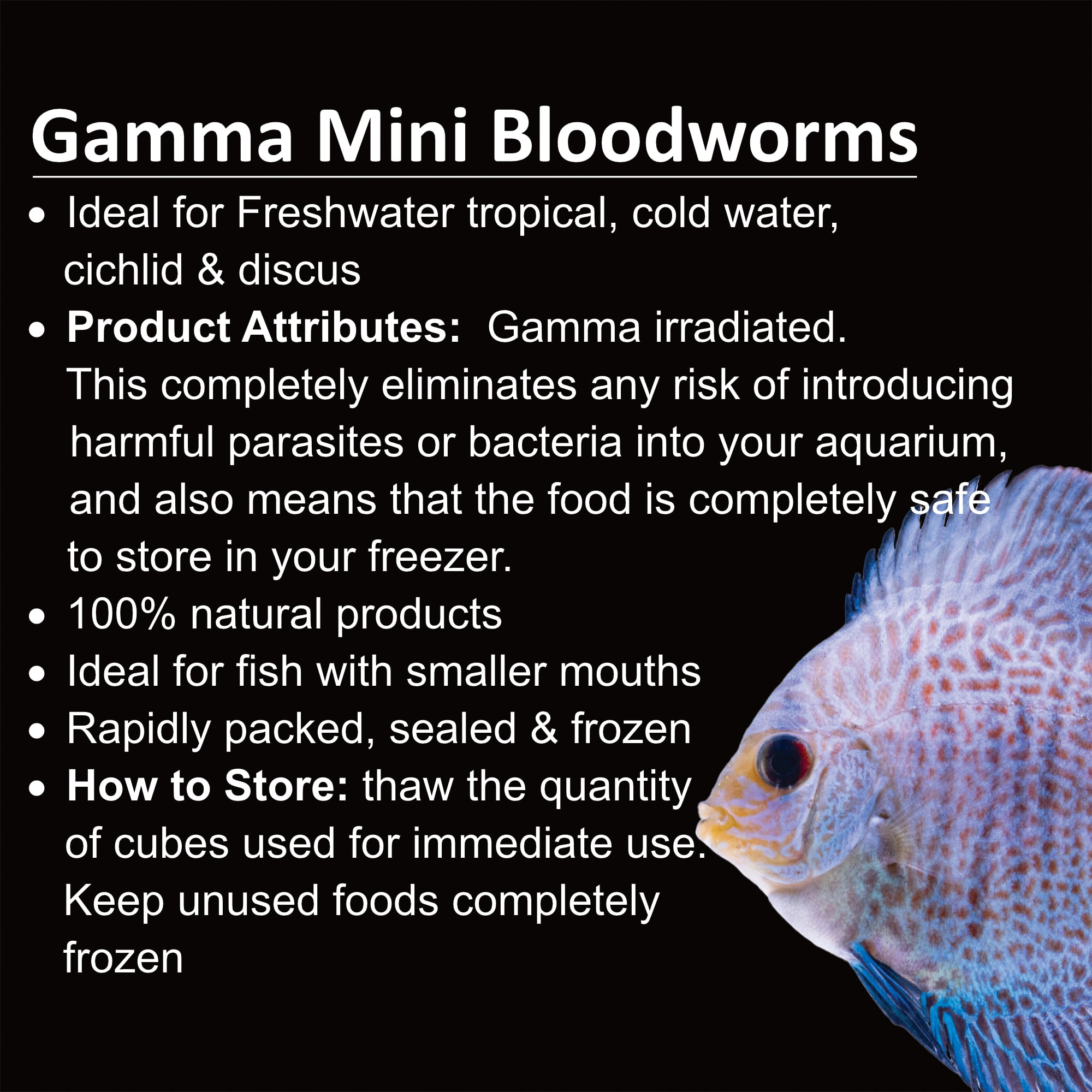 Frozen bloodworms outlet petco