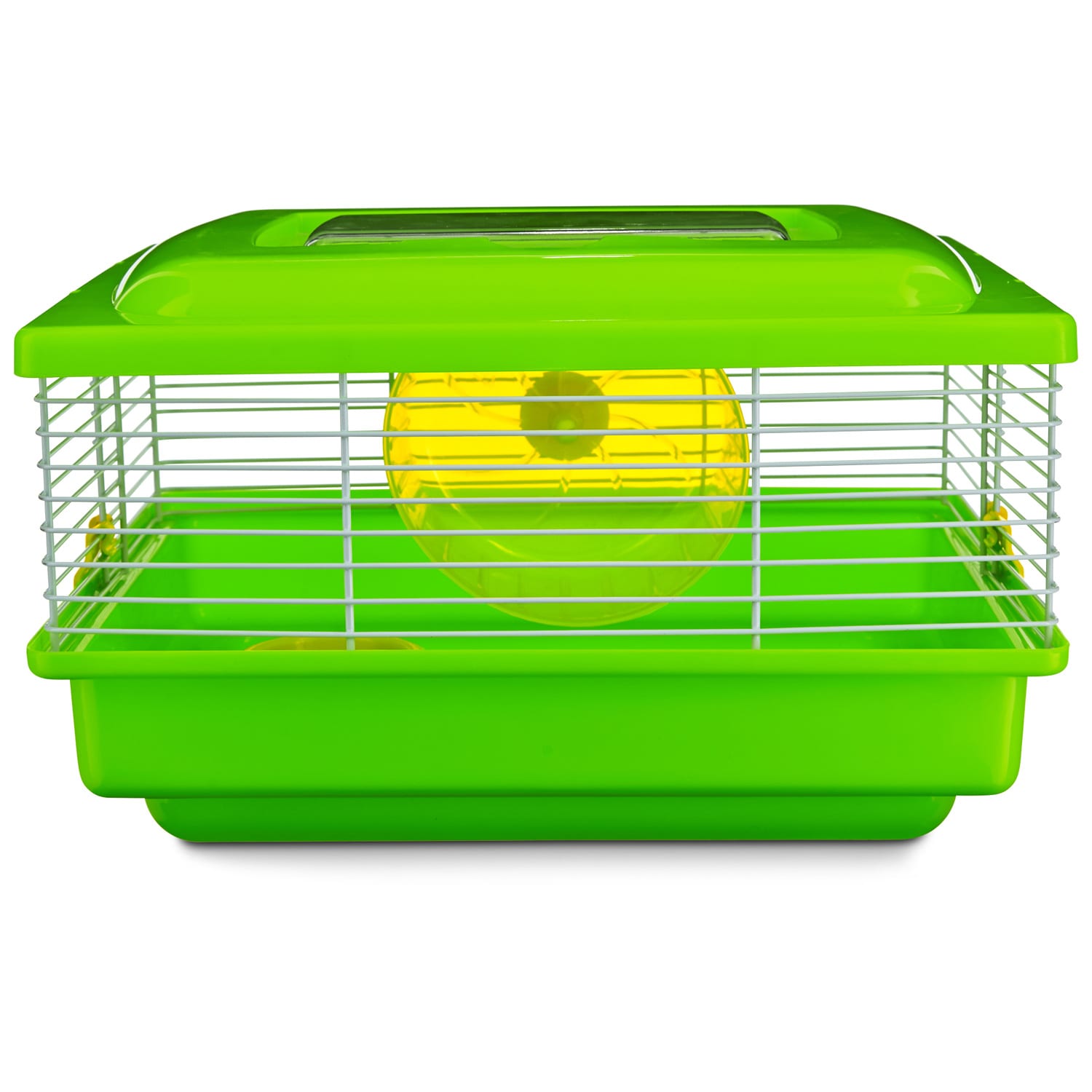 Banded Syrian Hamster » Pet Profile: Cage, Food, Lifespan