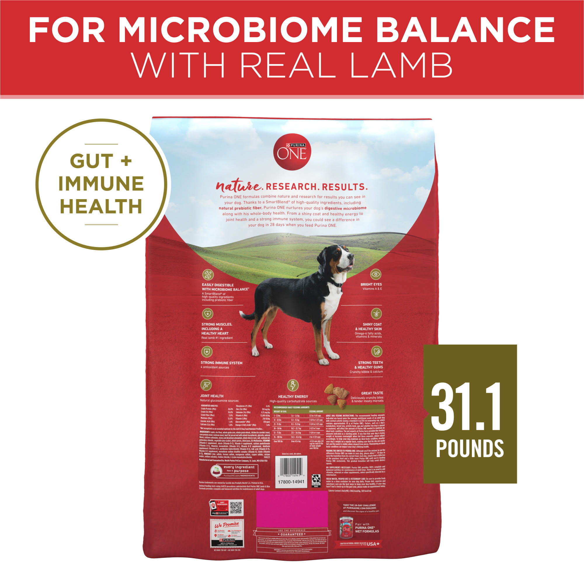 Purina ONE Lamb Rice Formula Dry Dog Food,
