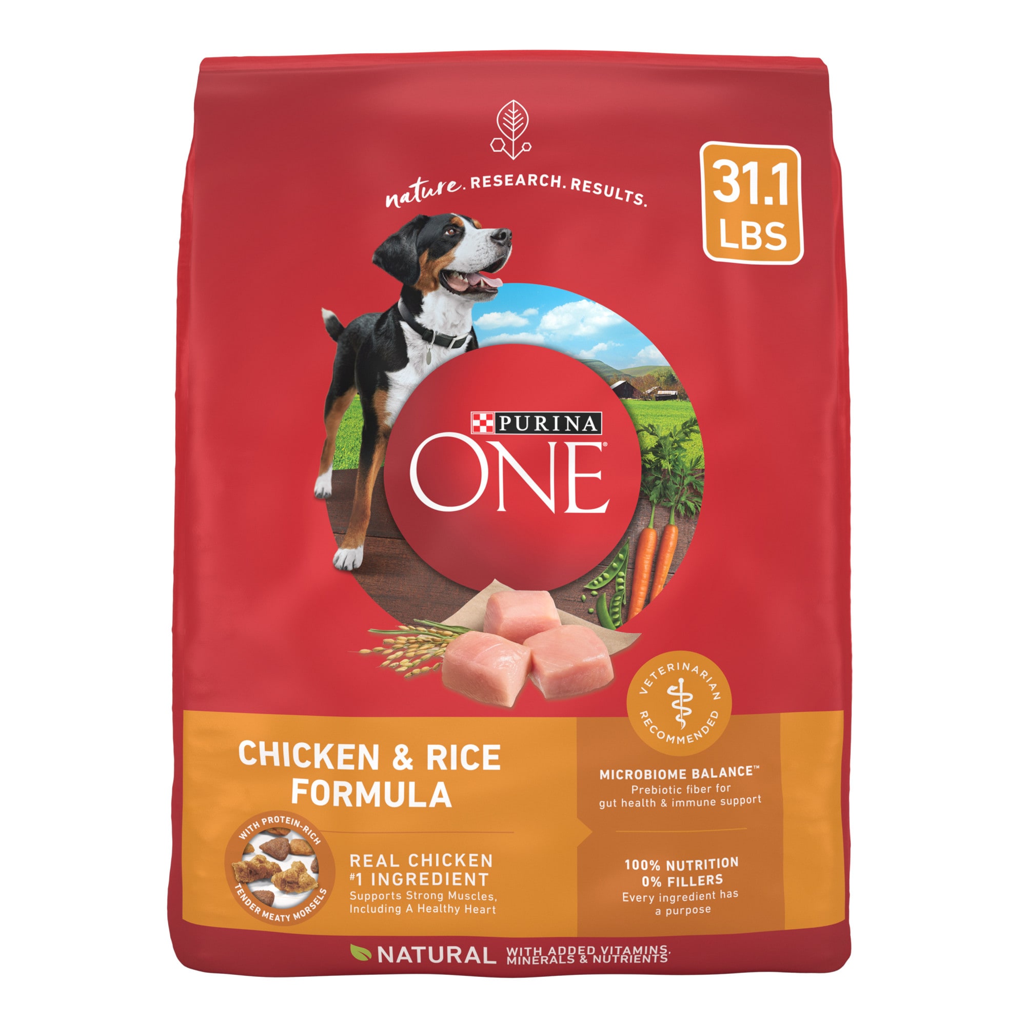 Purina ONE Chicken and Rice Formula Dry Dog Food, 31.1 lbs. | Petco