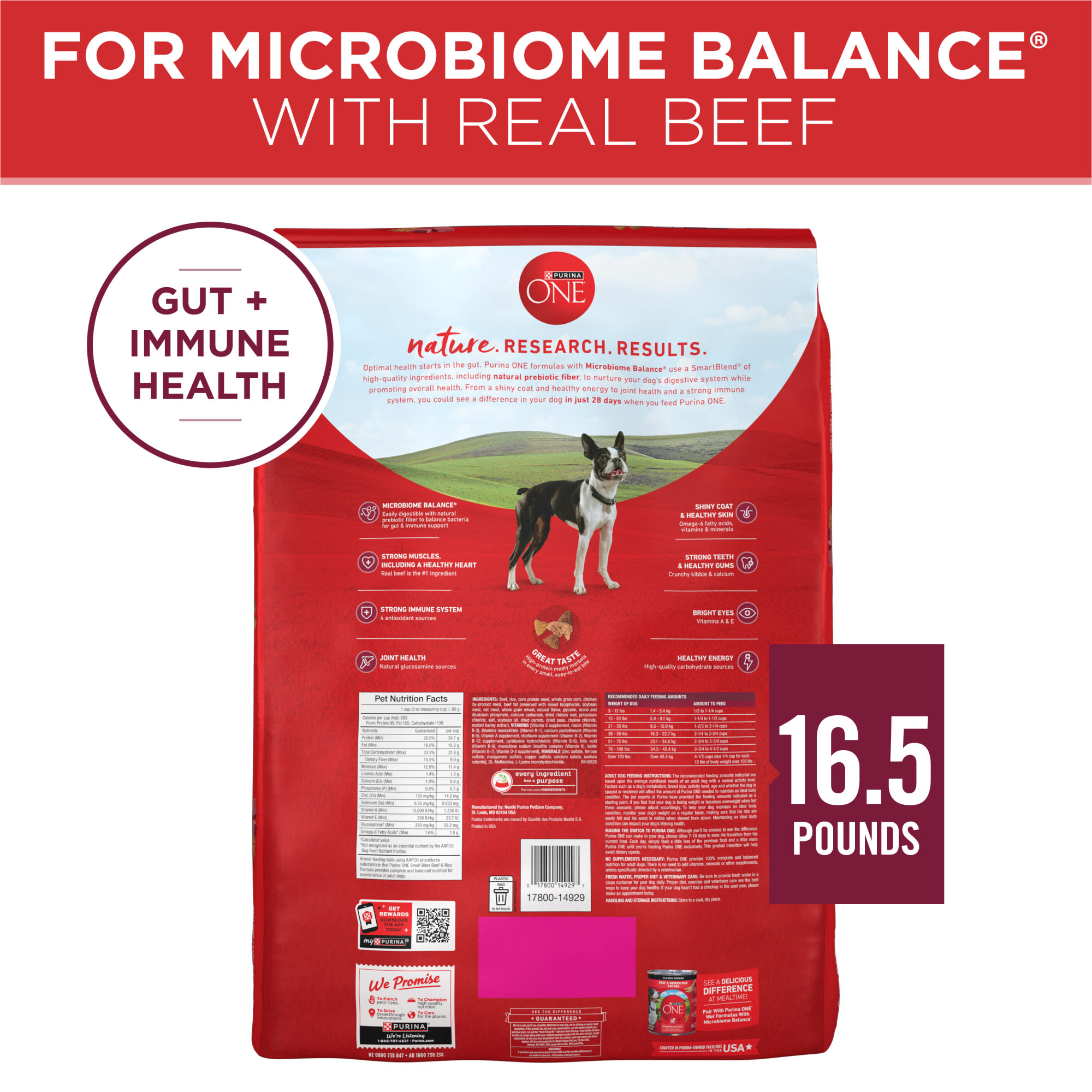 Purina ONE SmartBlend Small Bites Beef & Rice Dry Dog Food, 31.1 lbs