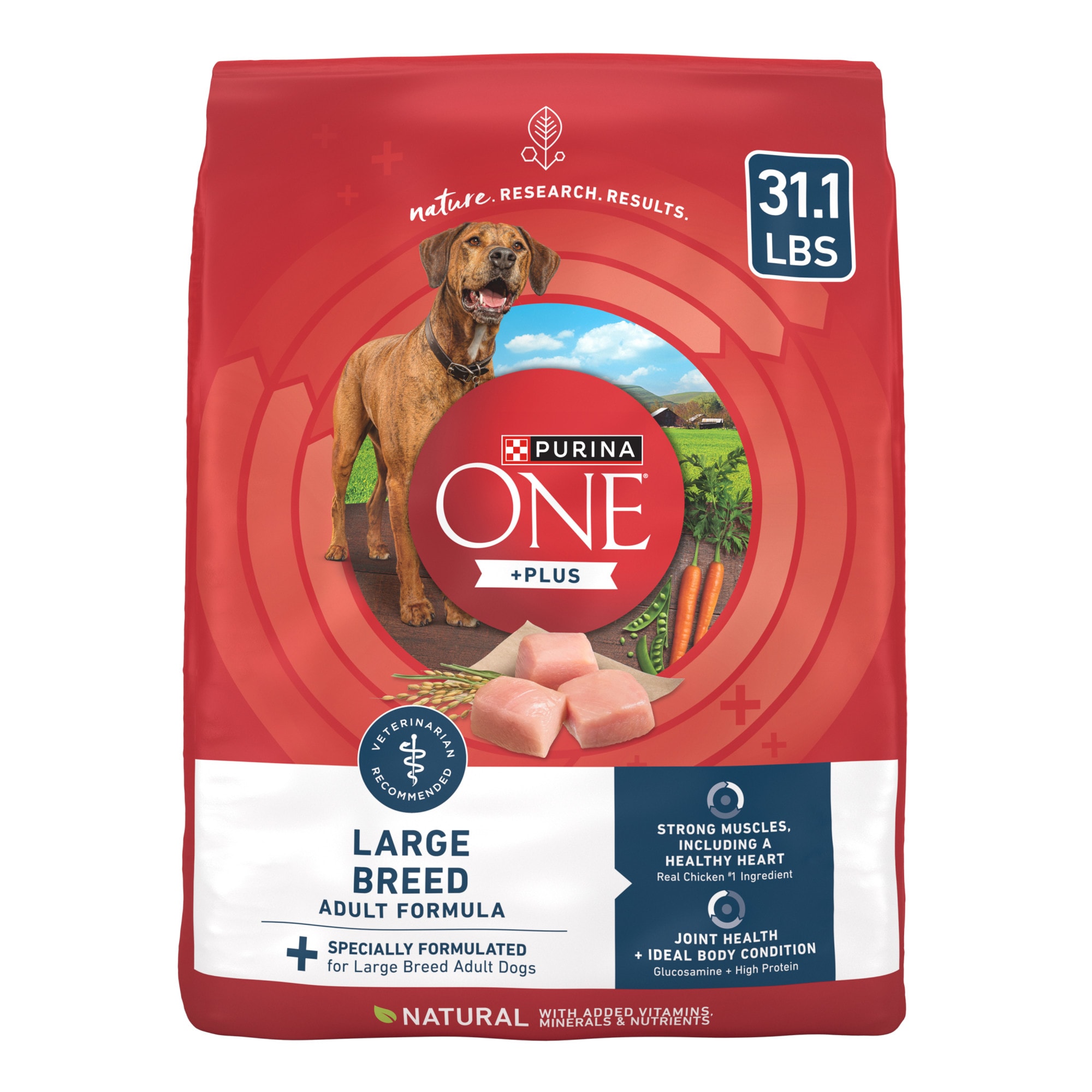 purina one fish dog food