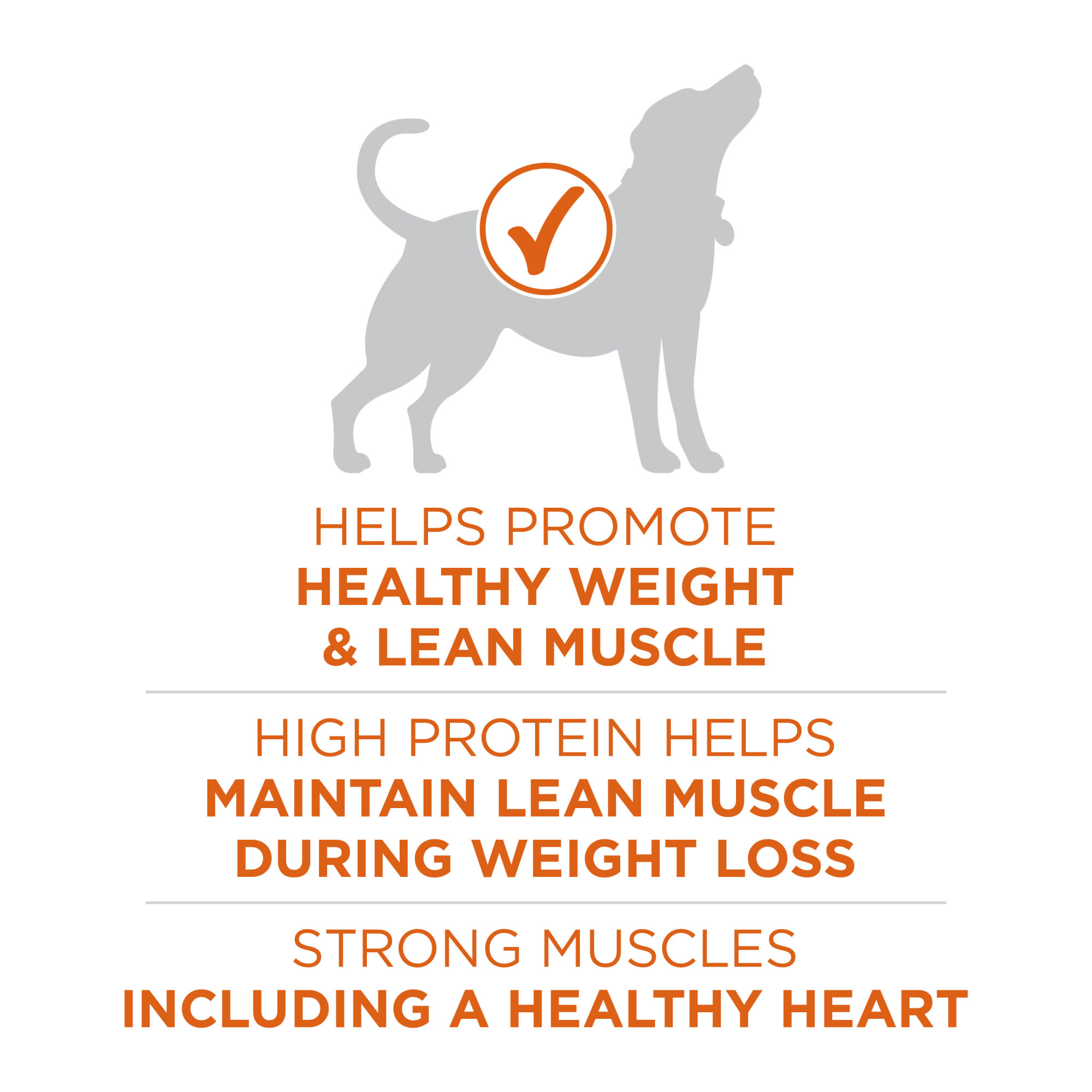 purina one healthy weight 31.1 lb