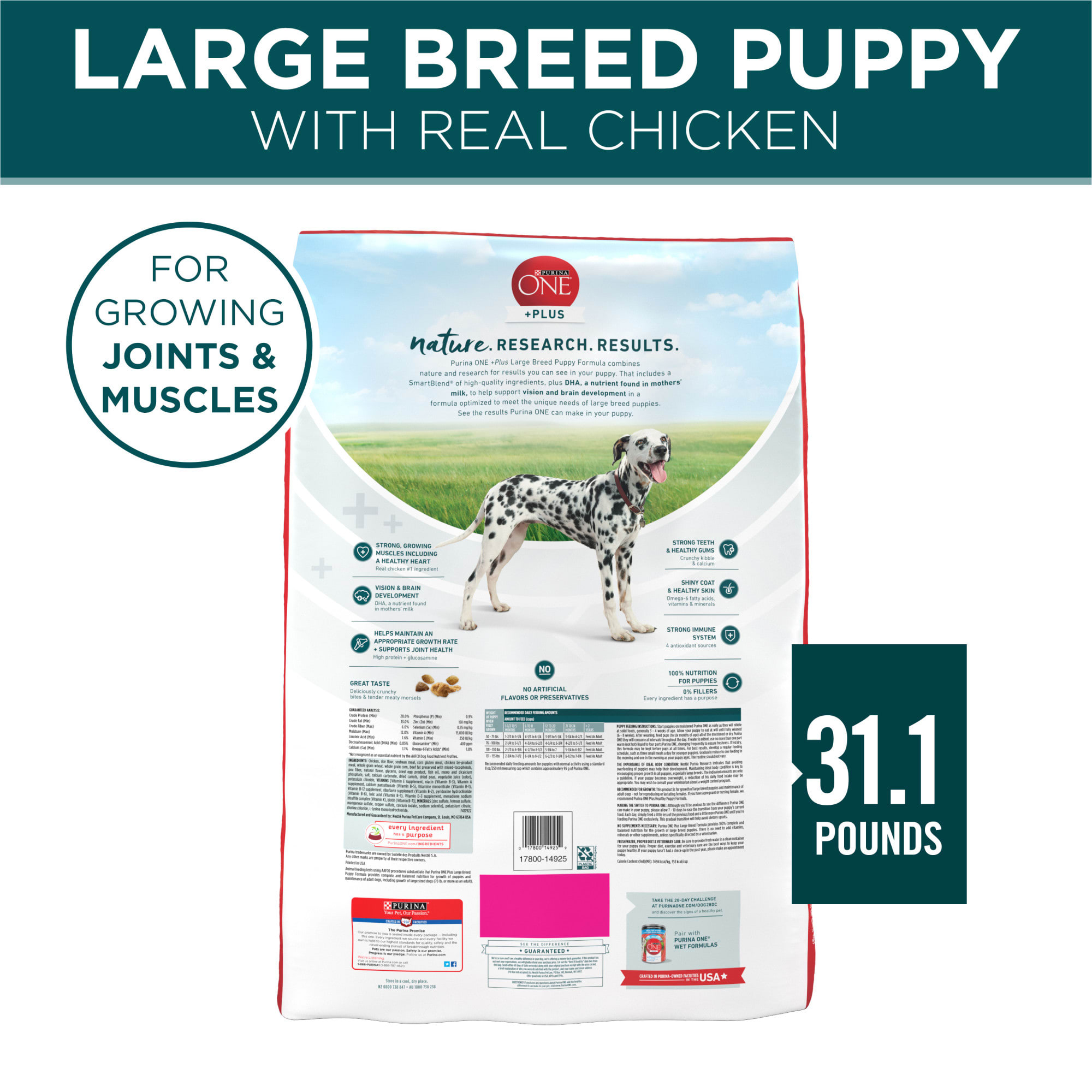 Purina one best sale large puppy