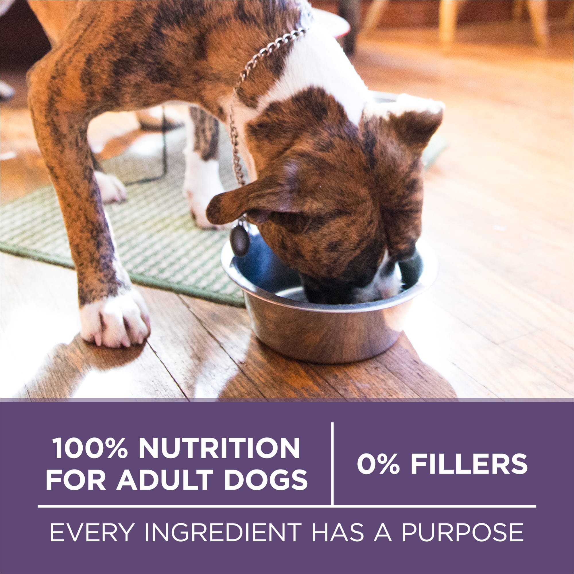 Petco purina one smartblend sales