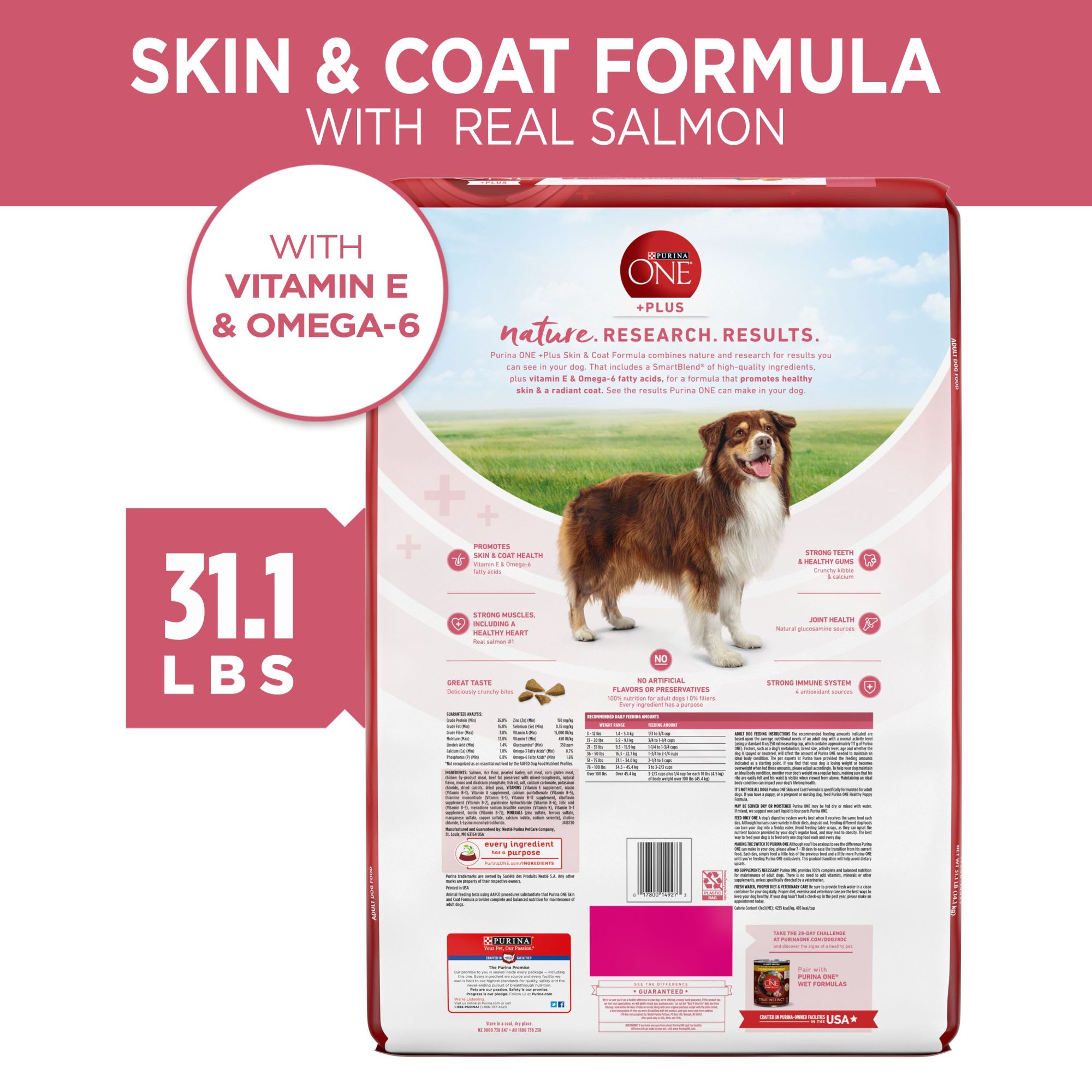 Purina ONE Natural Plus Skin Coat Formula Sensitive Stomach Dry