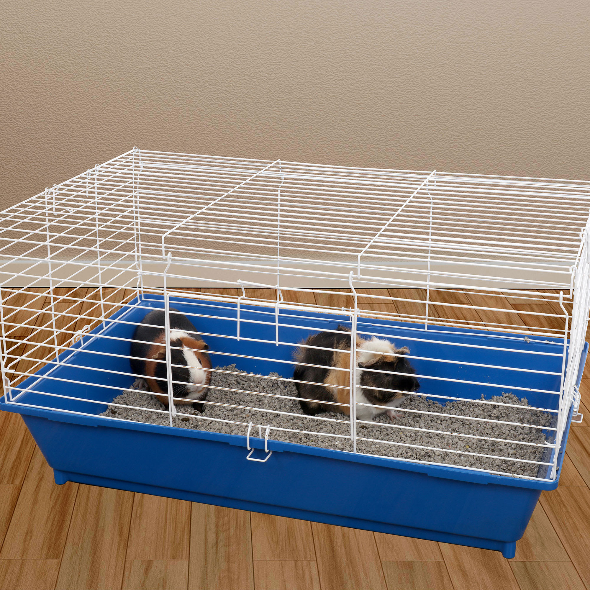 Guinea pig house petco online