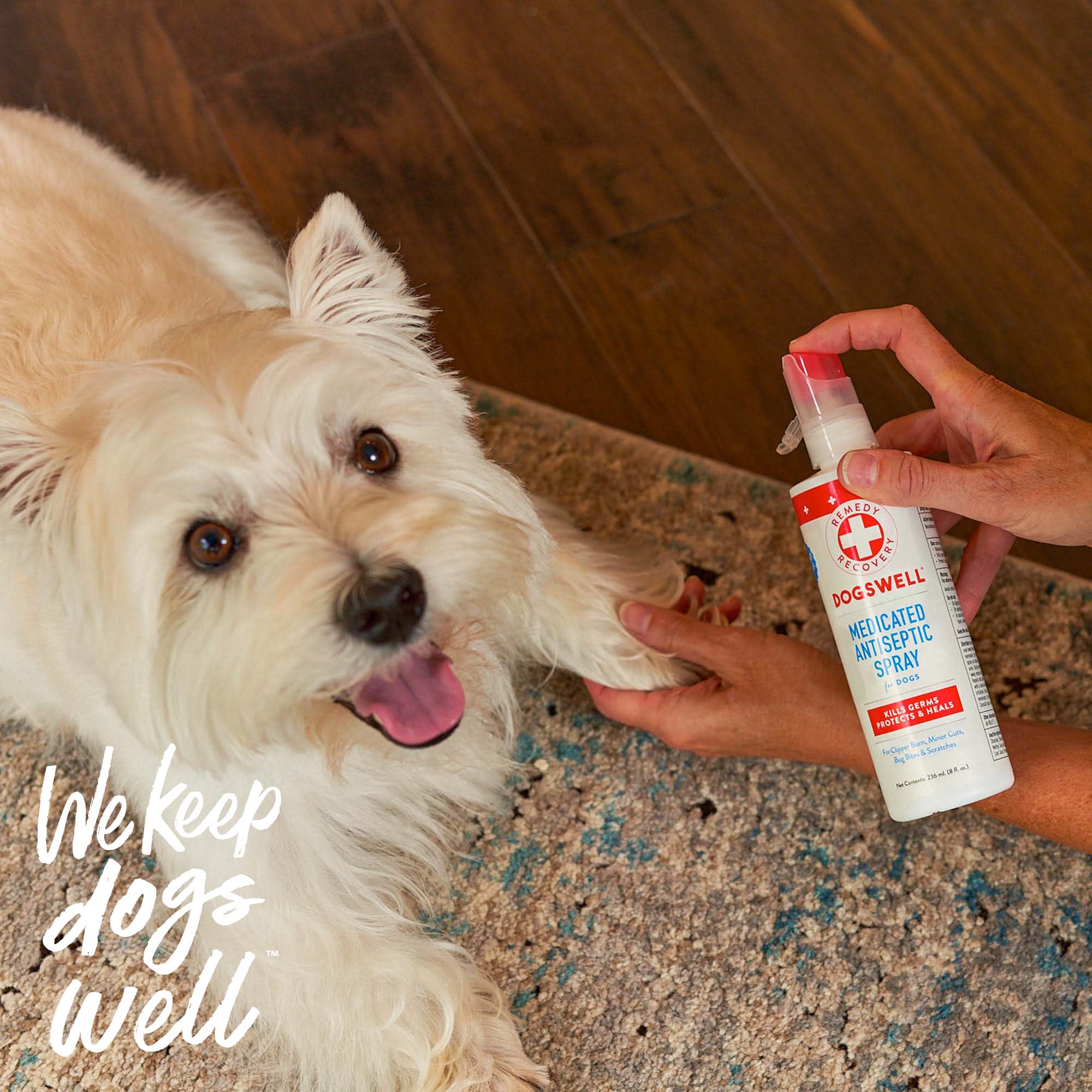 Petco antiseptic sale spray