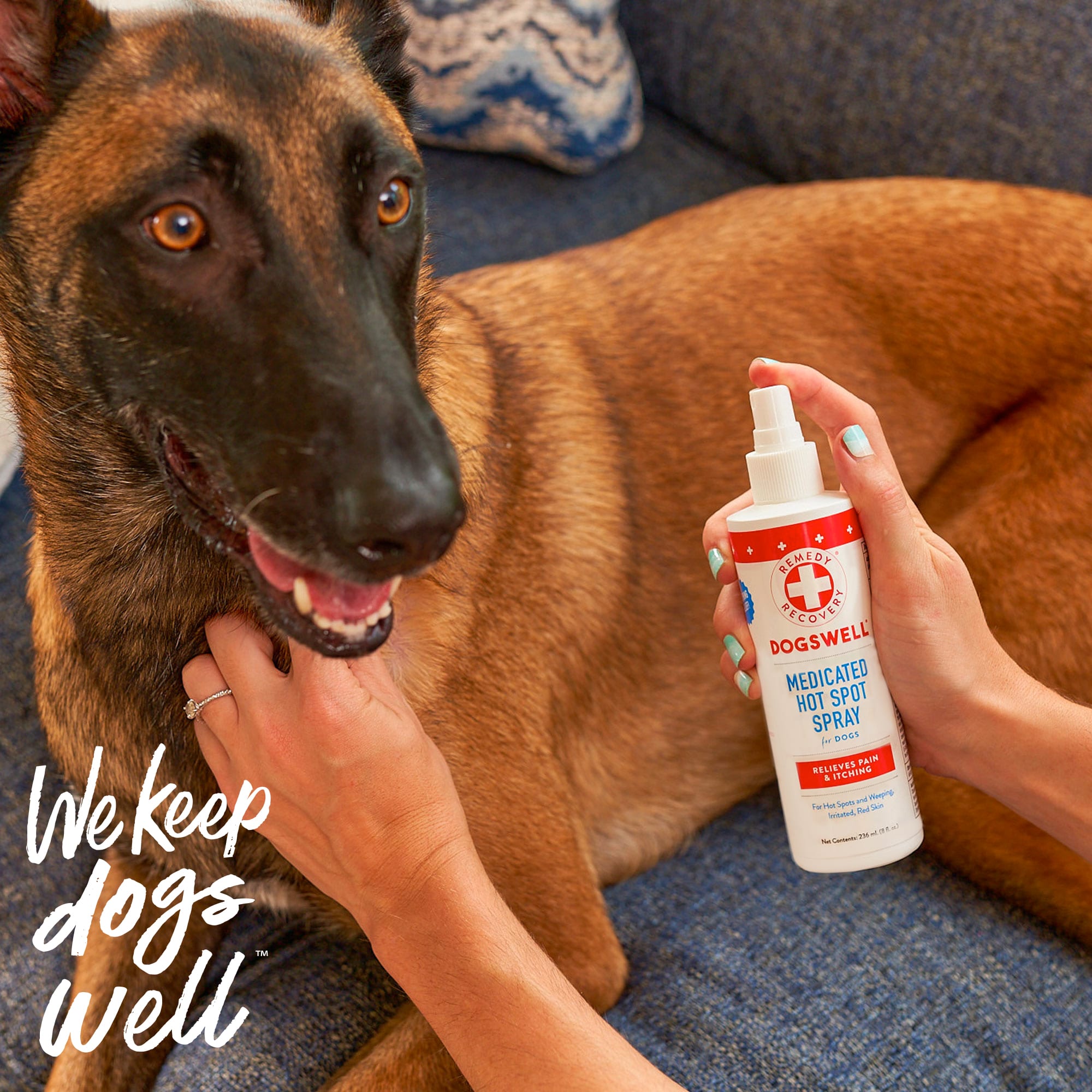 Petco hot spot clearance spray