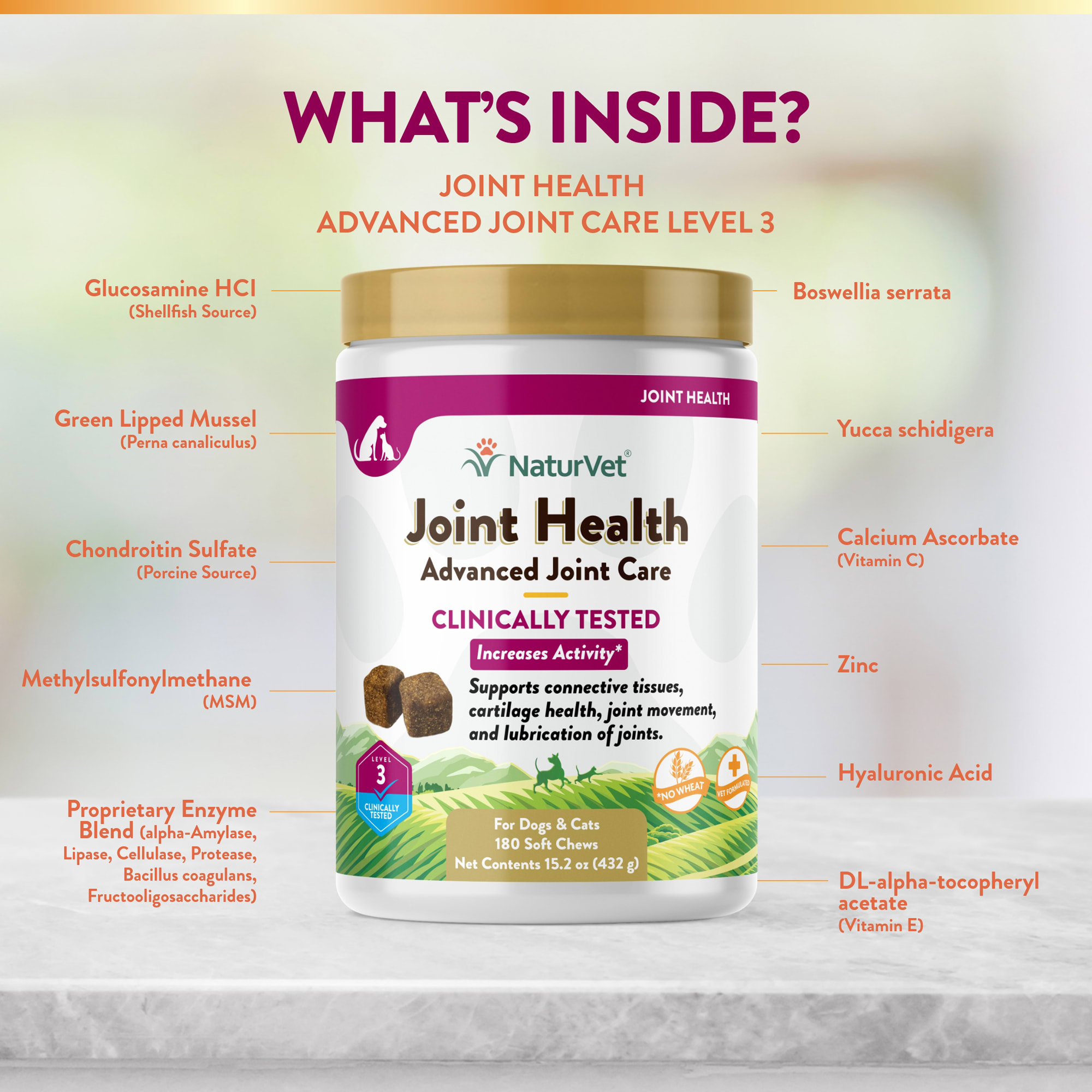 natural foods for joint lubrication Hip & Joint Care Supplement Chews for Dogs 6-Pack