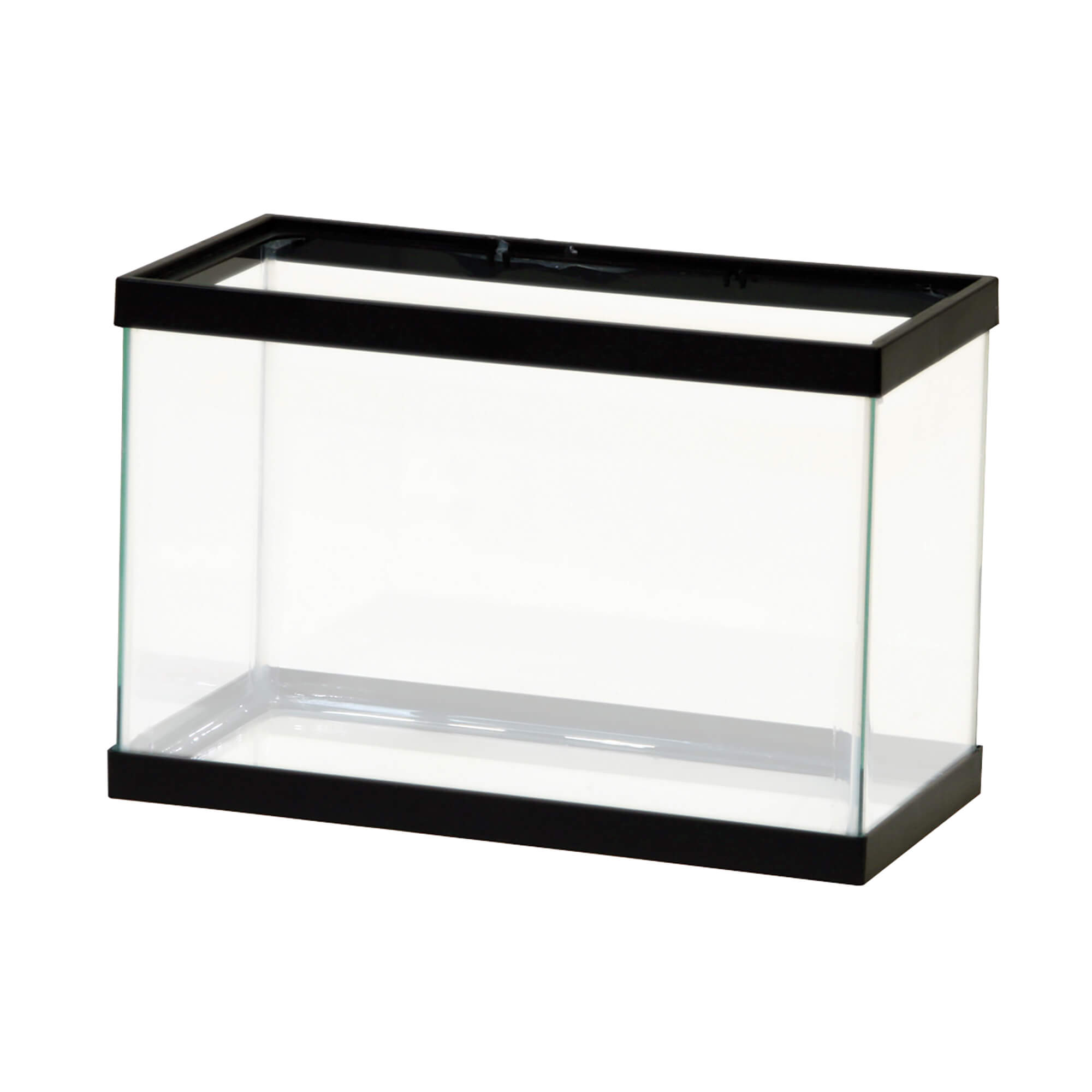 mini glass aquarium