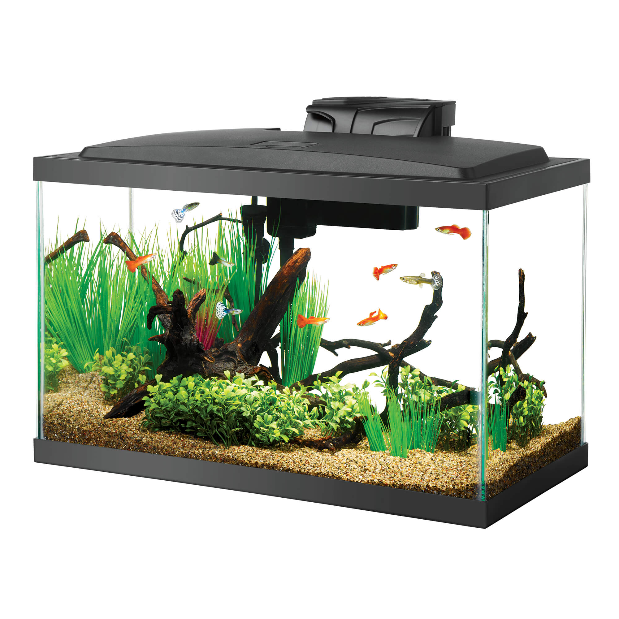 Aqueon Standard Glass Aquarium Tank 10 Gallon, Petco