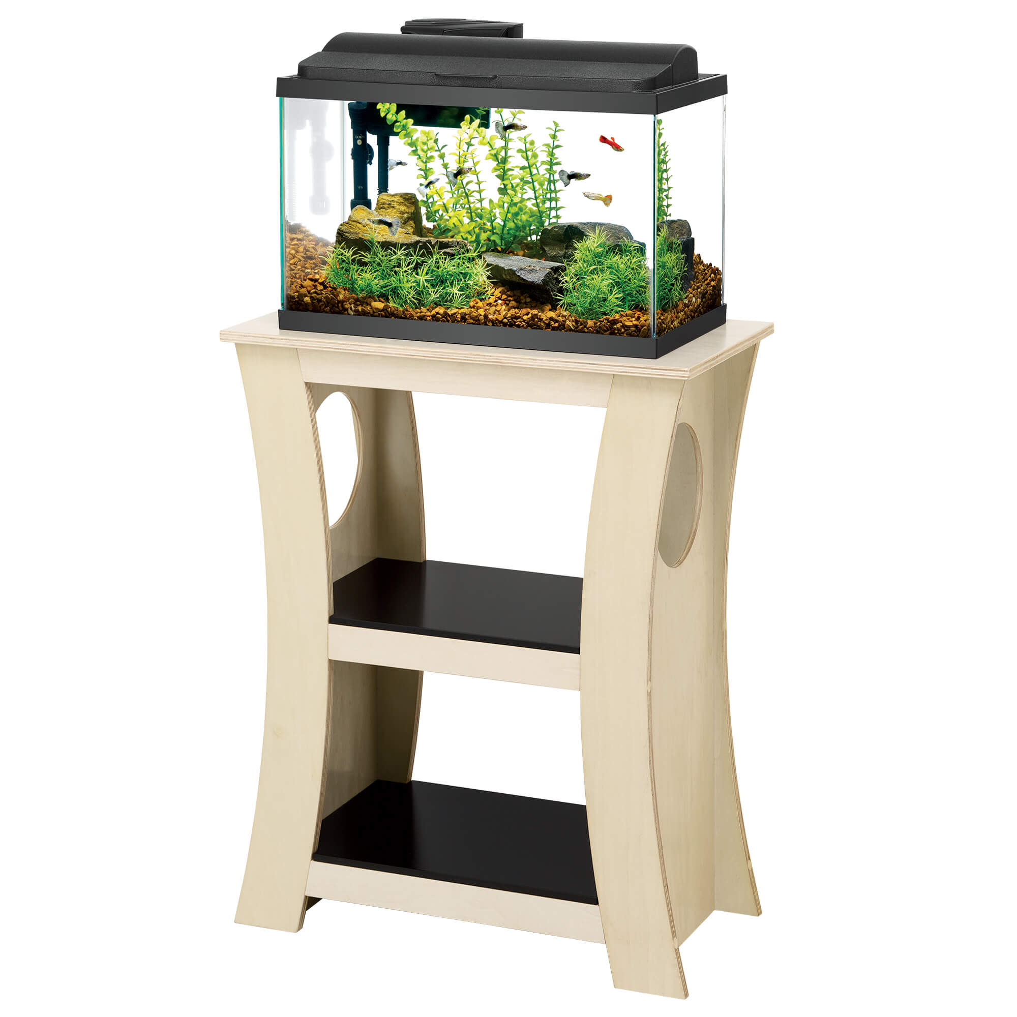 Petco ten gallon tank best sale