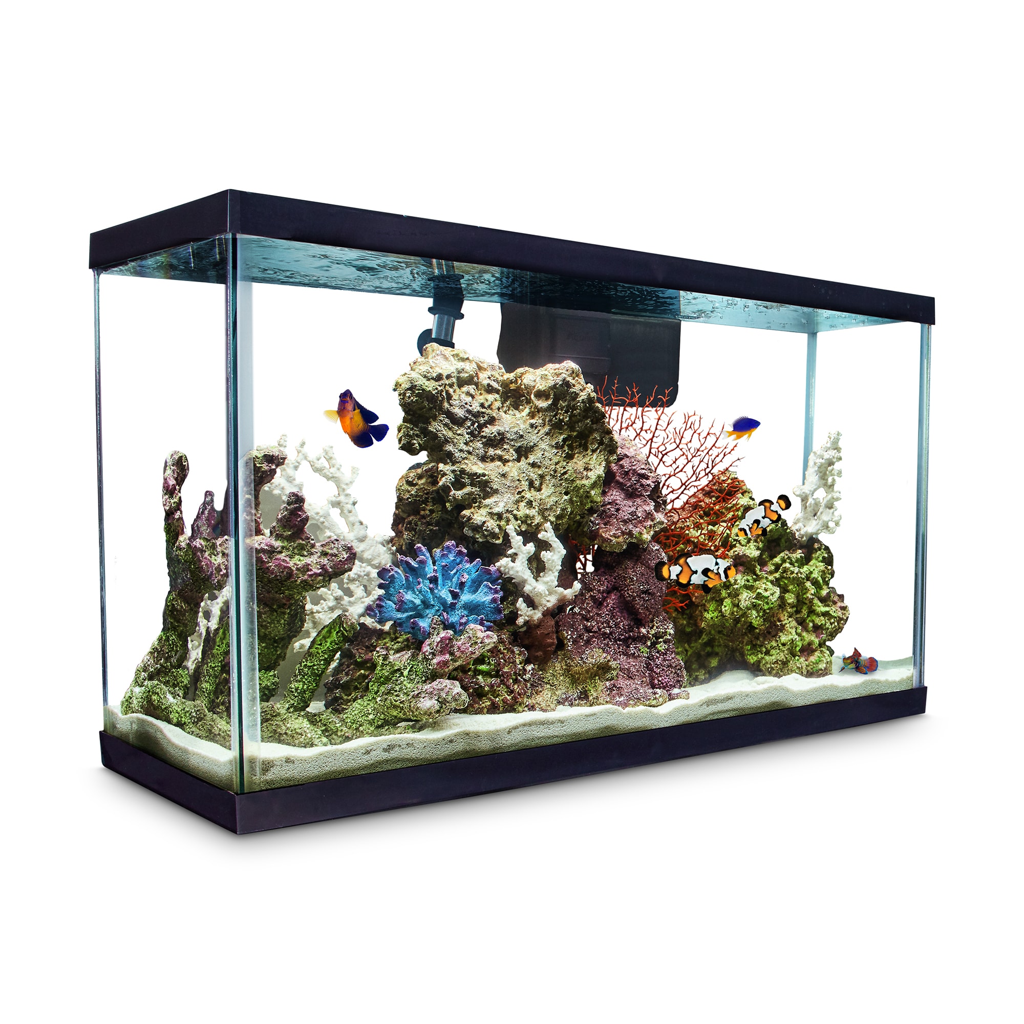 Aqueon Open-Glass Aquarium Tank, 29 Gallon |