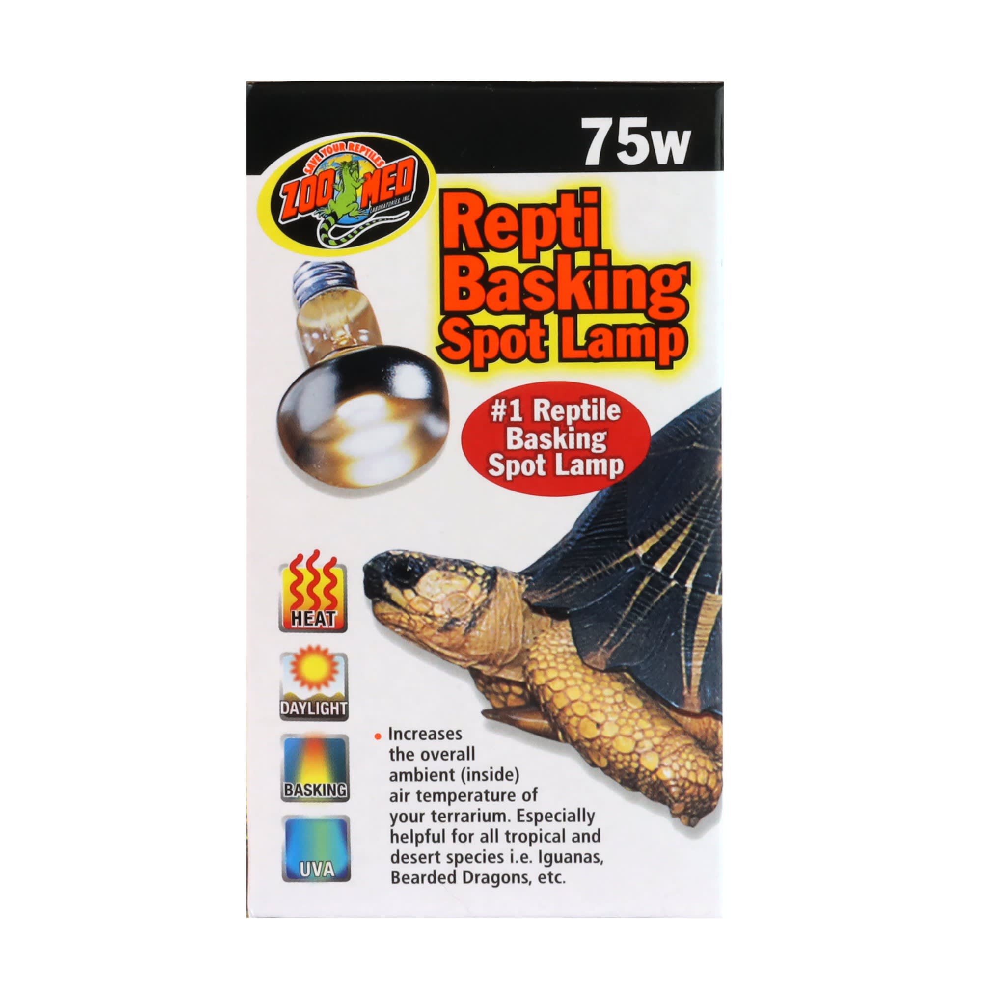 All living 2024 things basking bulb