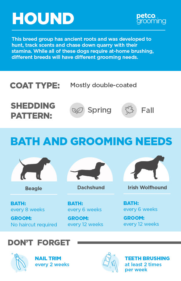 How Often Do I Wash My Dog Advice For Pet Parents Petco