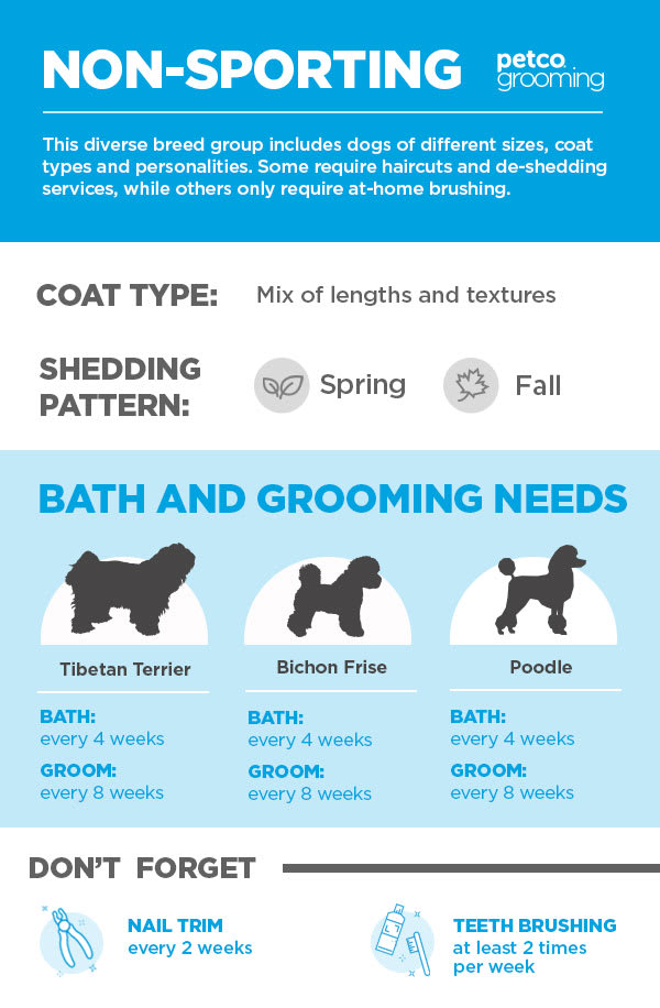 petco pet grooming