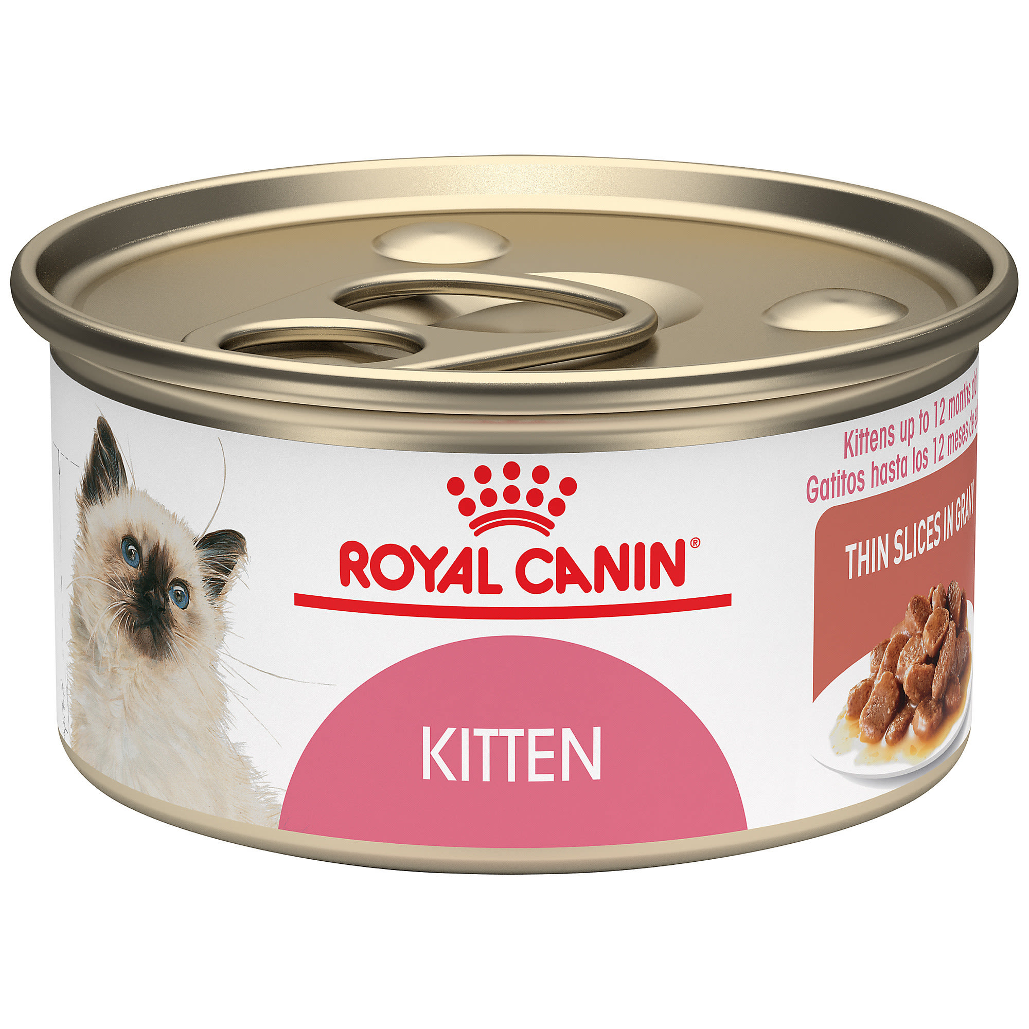 When can you give outlet a kitten wet food