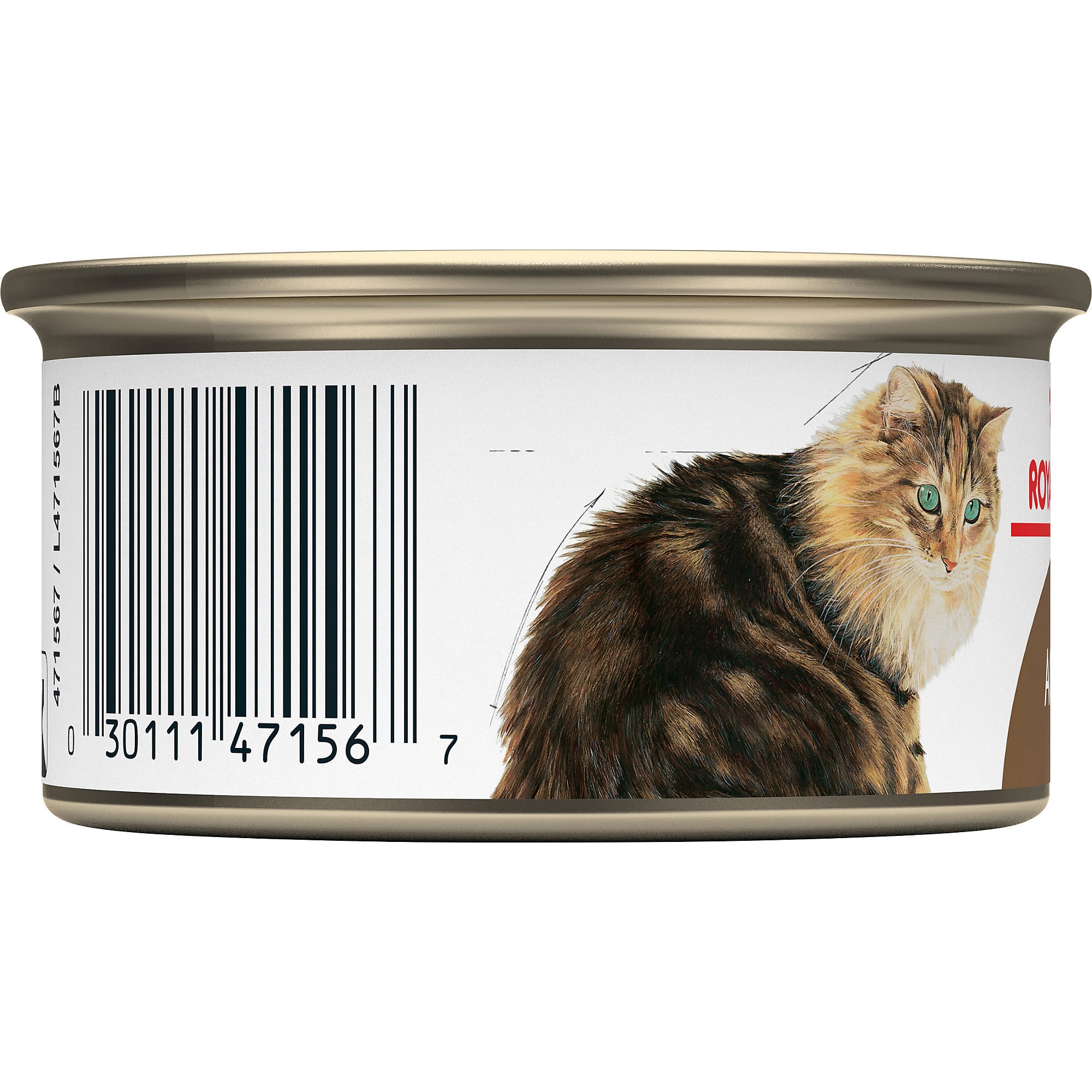 Royal Canin Aging 12 Thin Slices in Gravy Canned Wet Cat Food 3