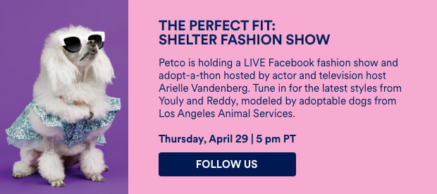 THE PERFECT FIT: SHELTER FASHION SHOW. Thursday, April 29 | 5pm PT. Follow us.