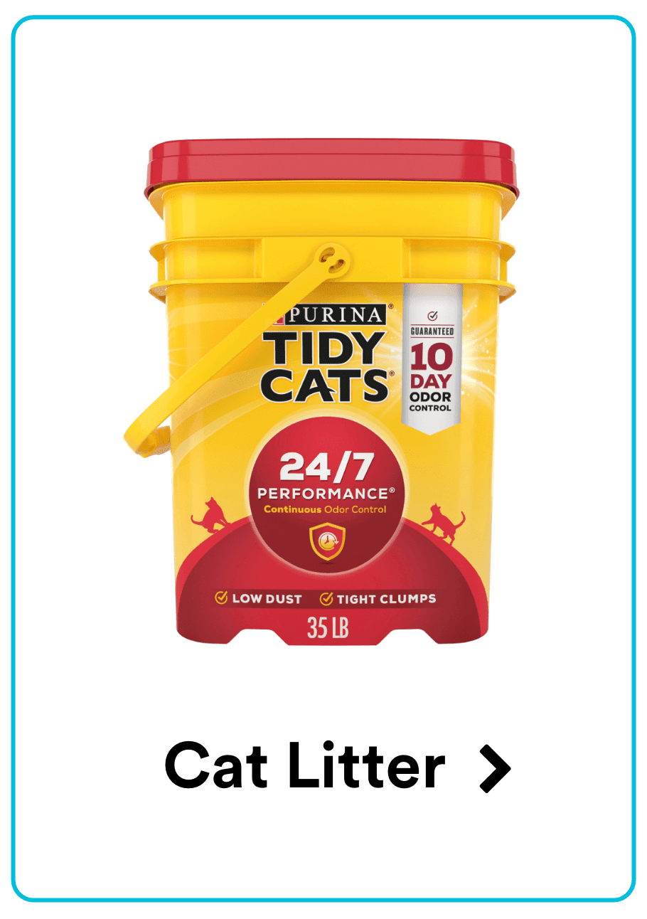 Cat Litter