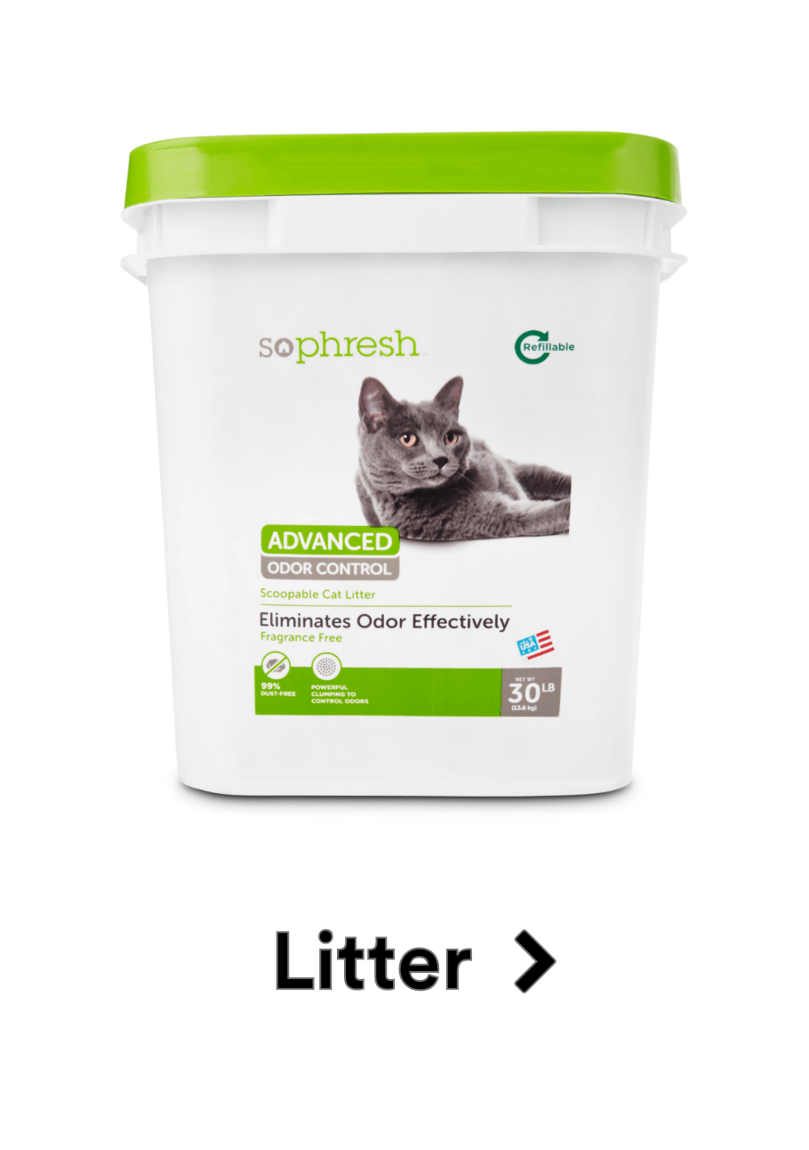 Cat Litter