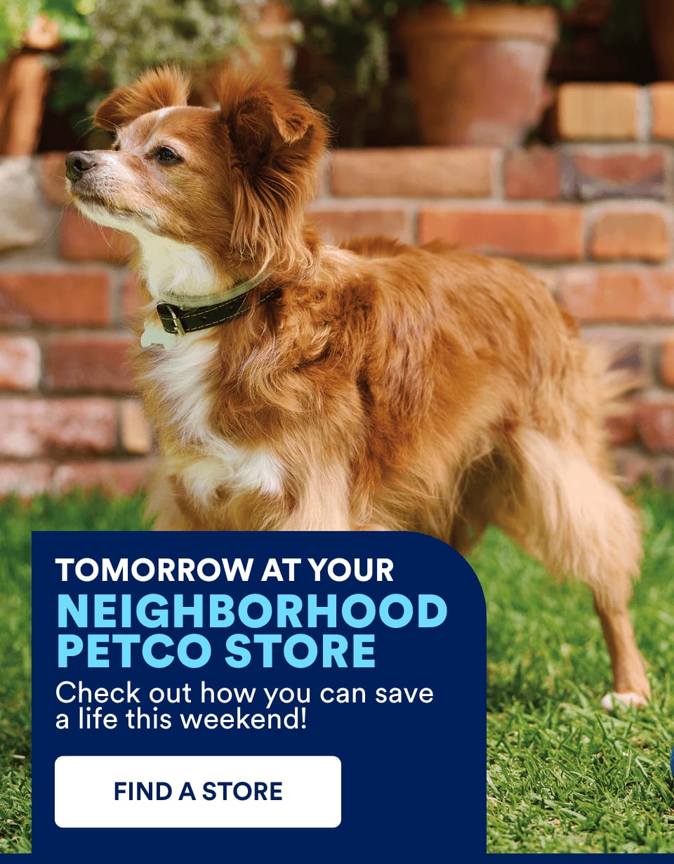 TOMORROW AT YOUR NEIGHBORHOOD PETCO STORE. Check out how you can save a life this weekend! FIND A STORE