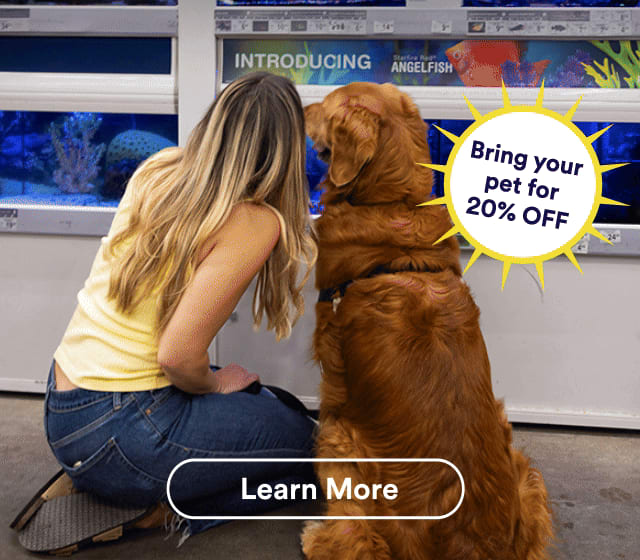 Bring your pet for 20% OFF. Learn More.